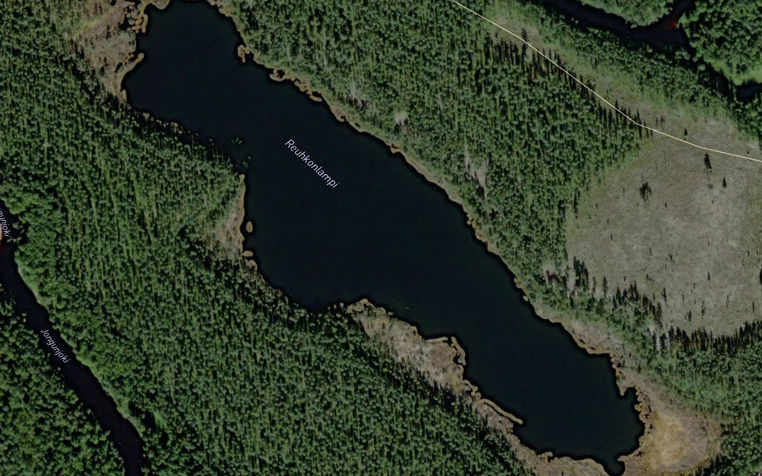 Reuhkonlampi