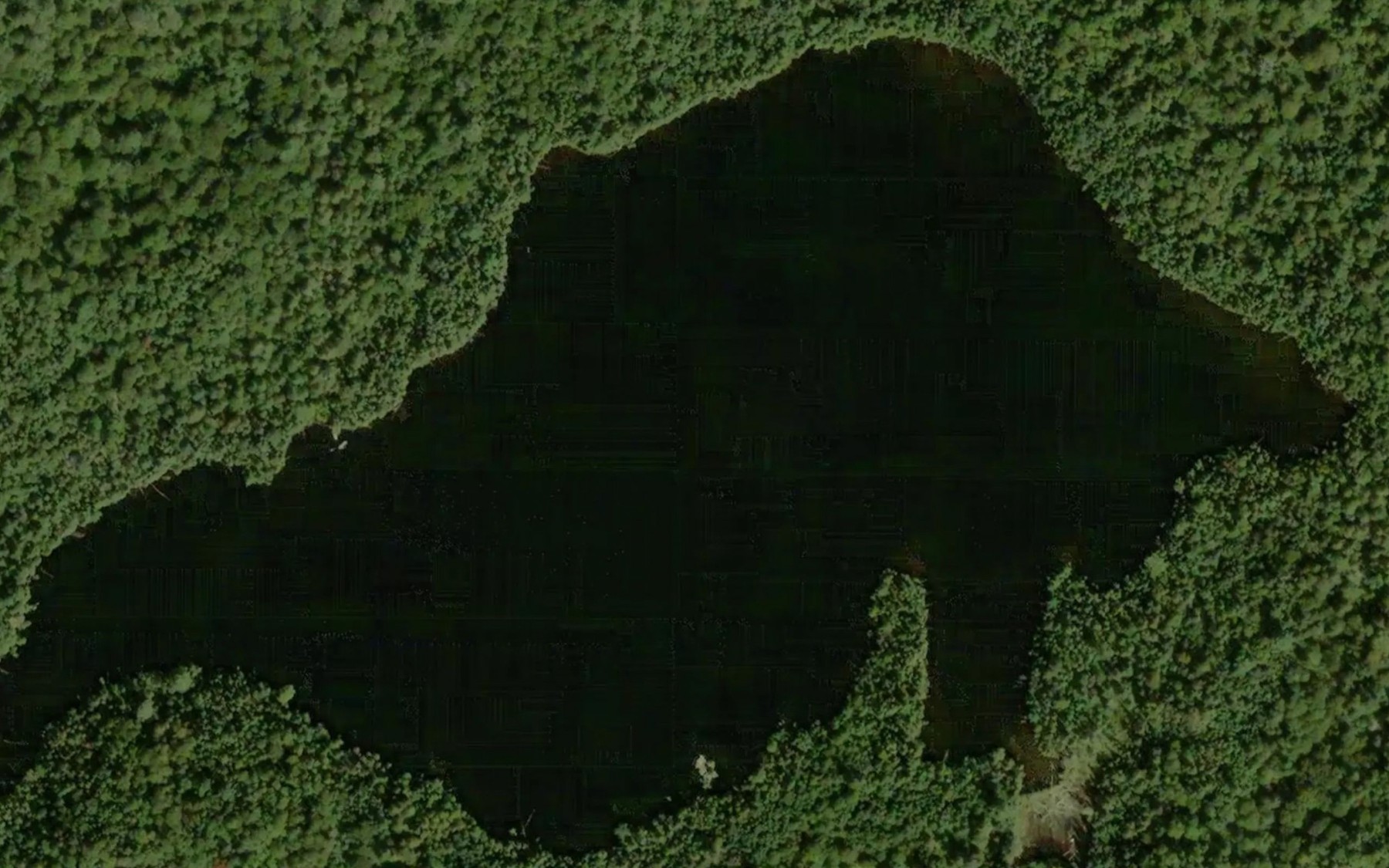 Satellite map of the Belle Lake