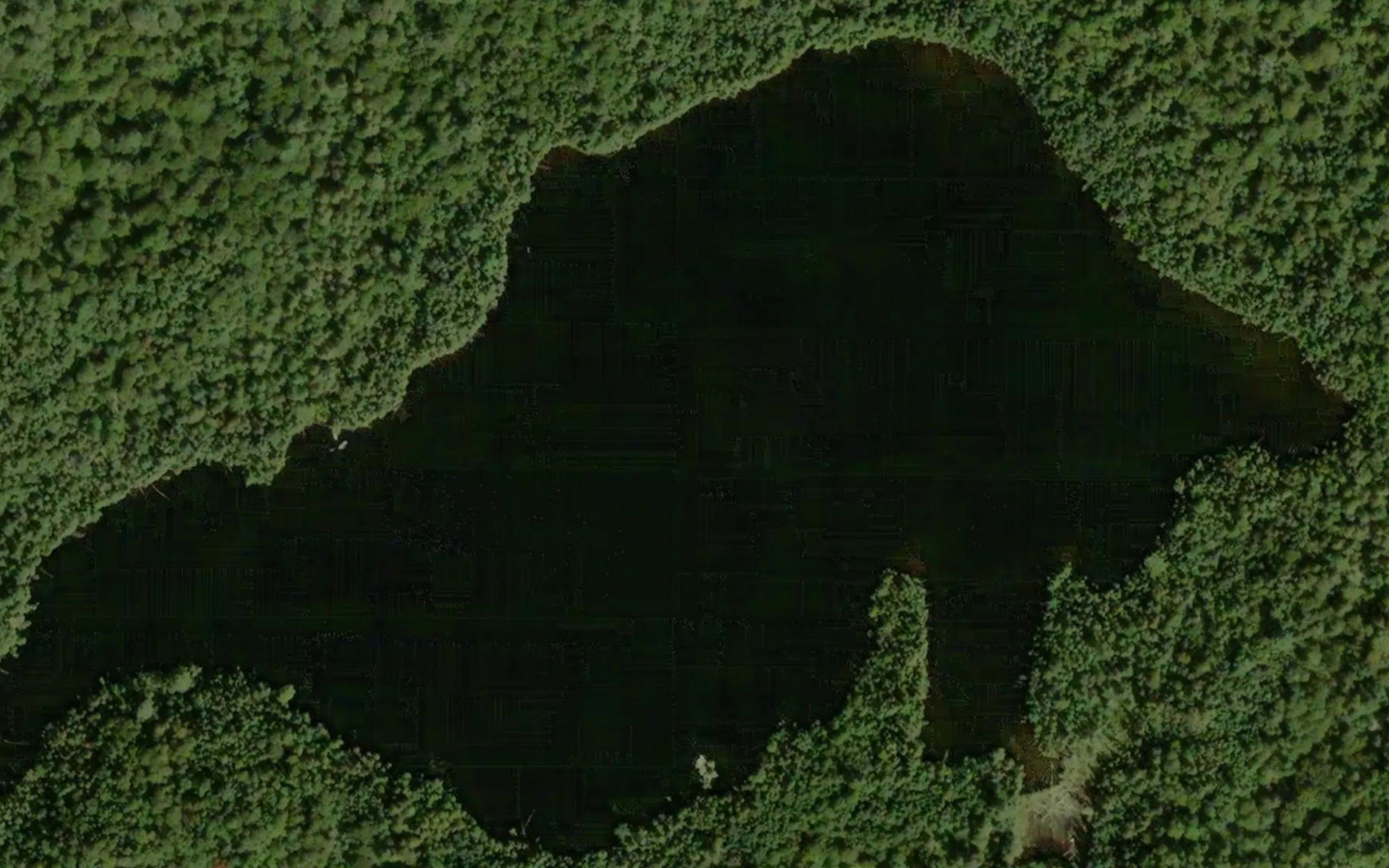 Belle Lake