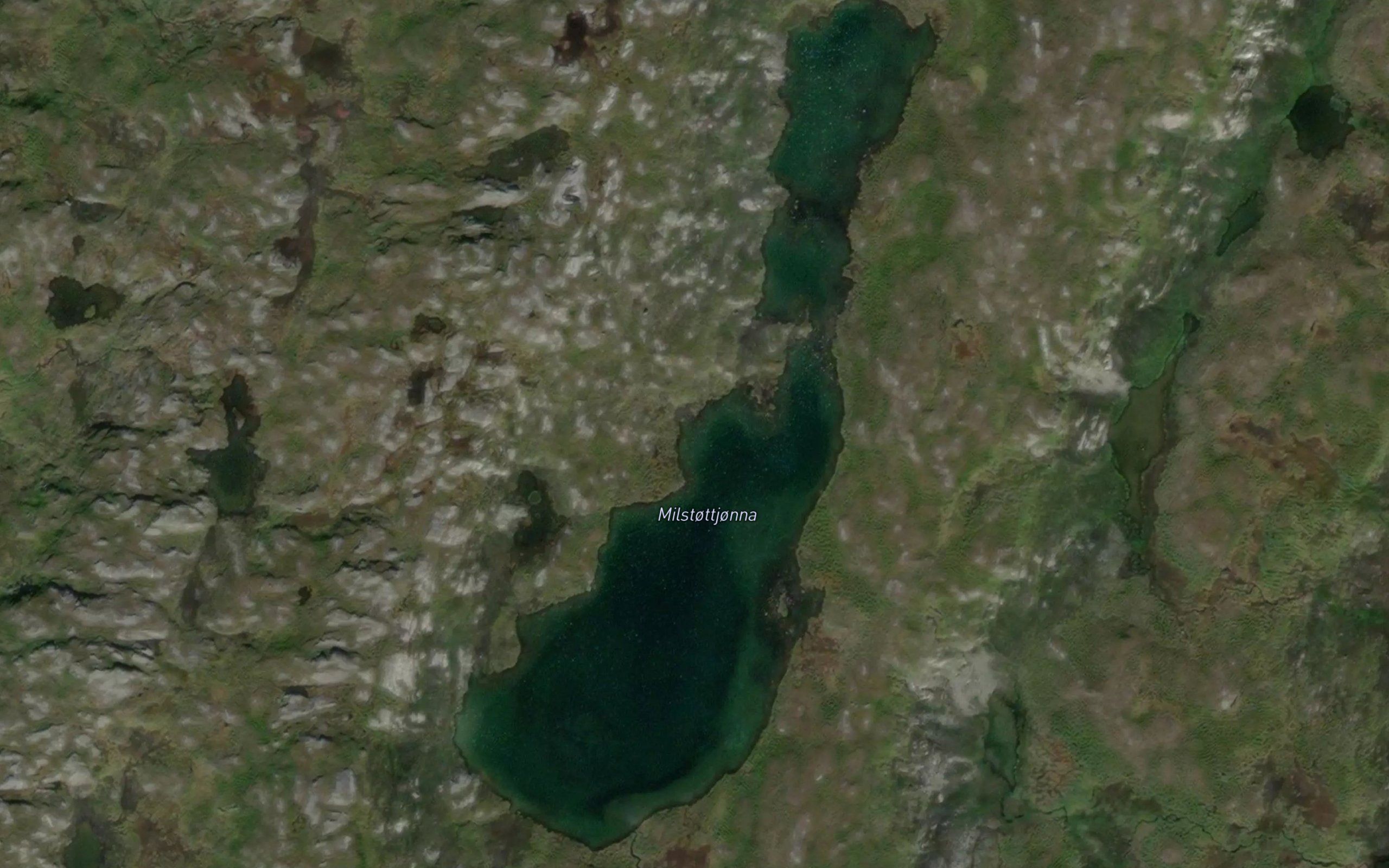 Milstottjorna