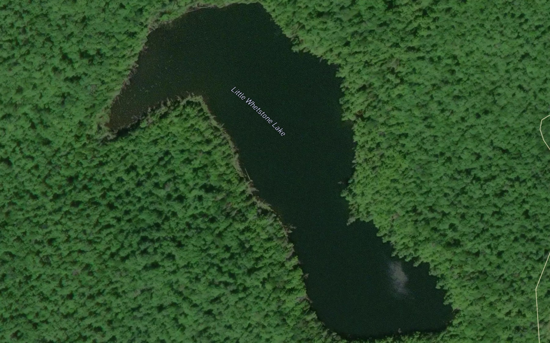 Satellite map of the Little Whetstone Lake