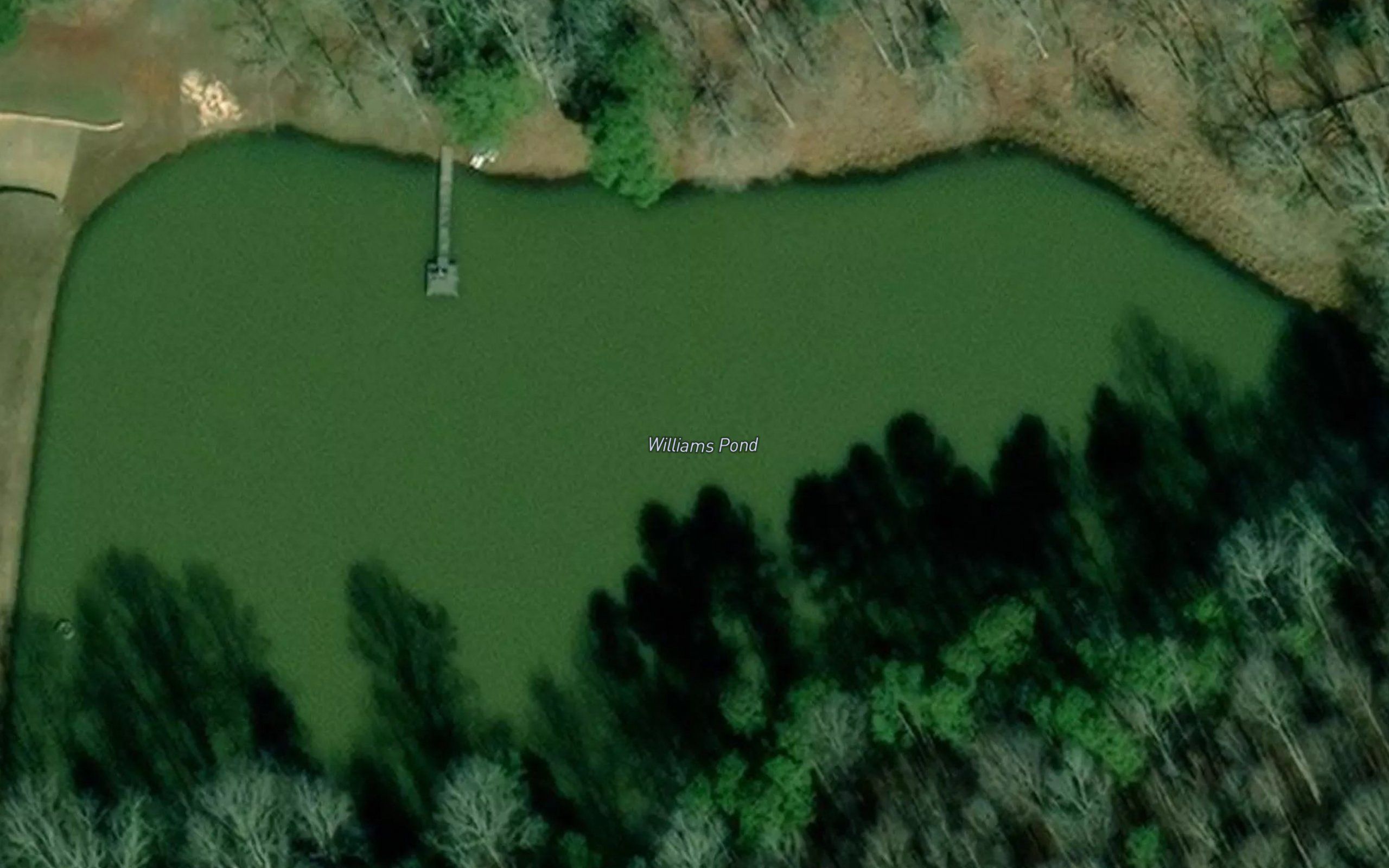 Williams Pond