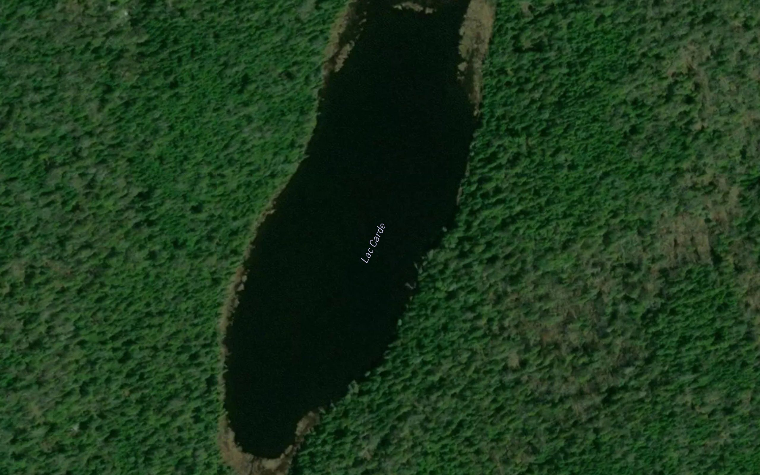 Lac Carde