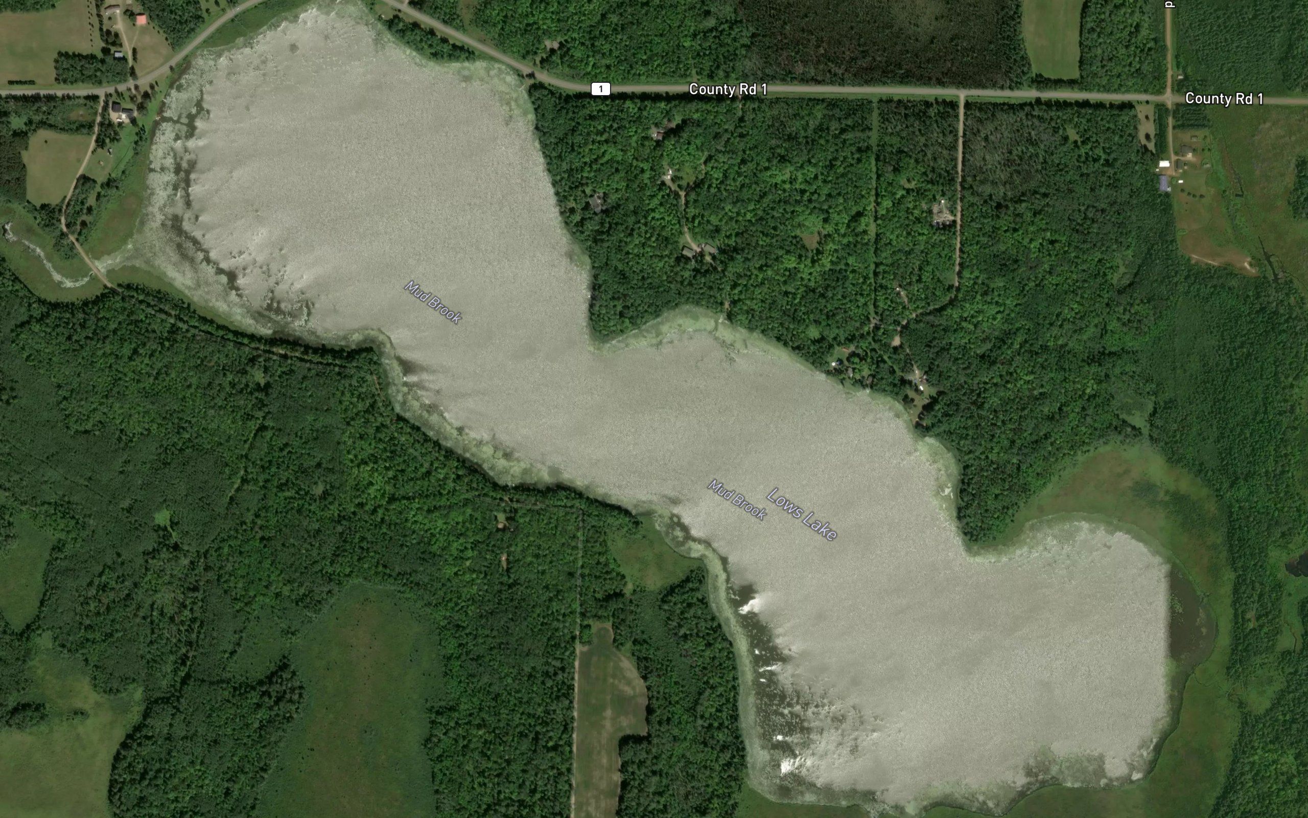 Lows Lake