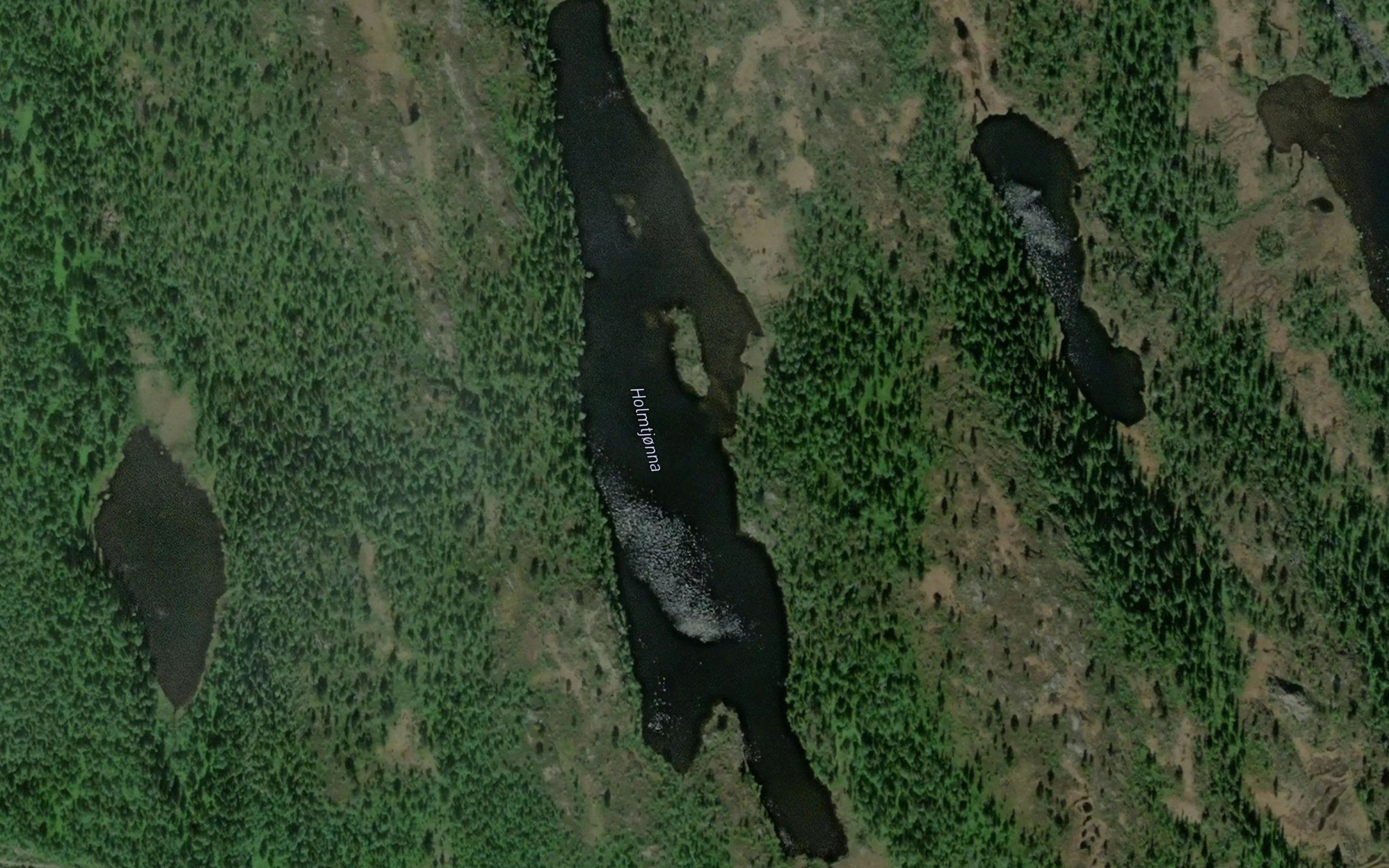 Holmtjorna