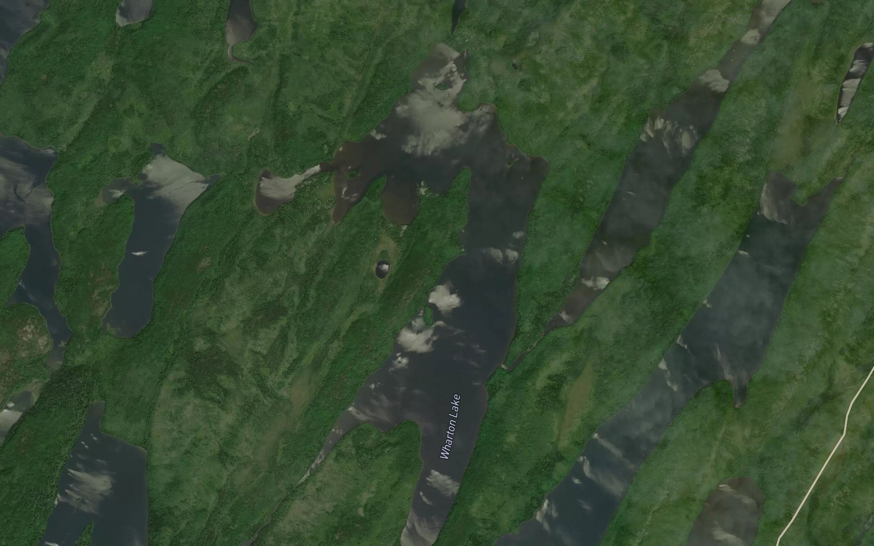 Satellite map of the Wharton Lake