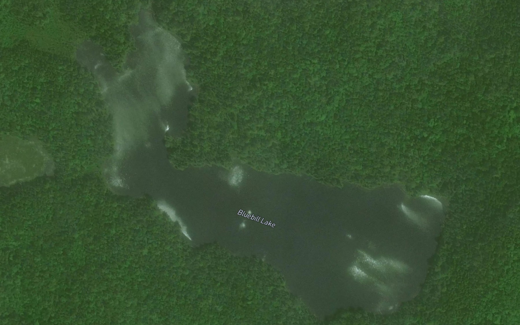 Satellite map of the Bluebill Lake