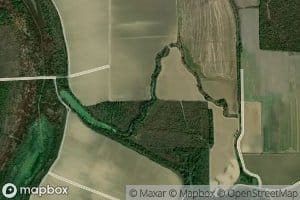 Black Democrat Bayou