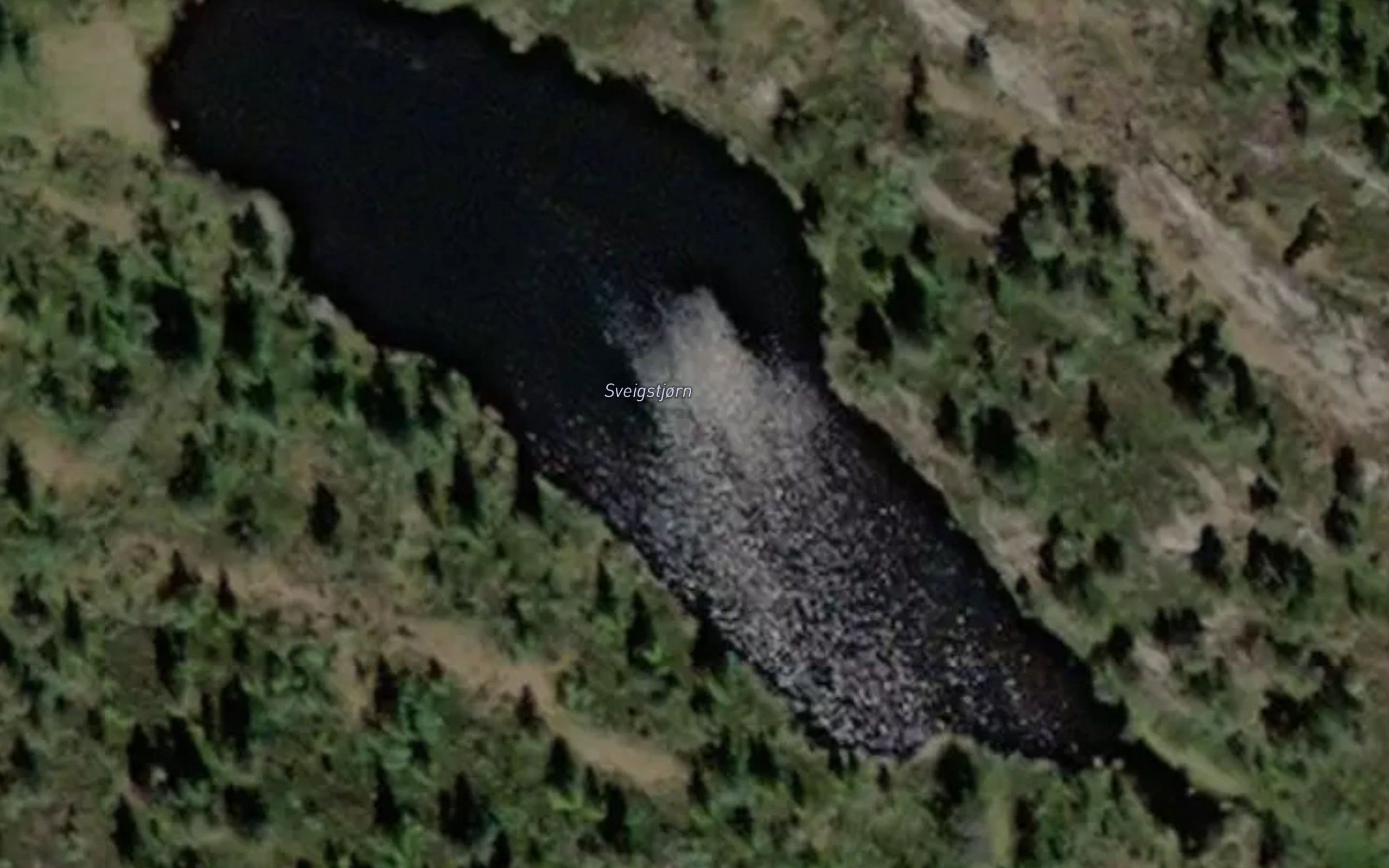 Sveigstjorn