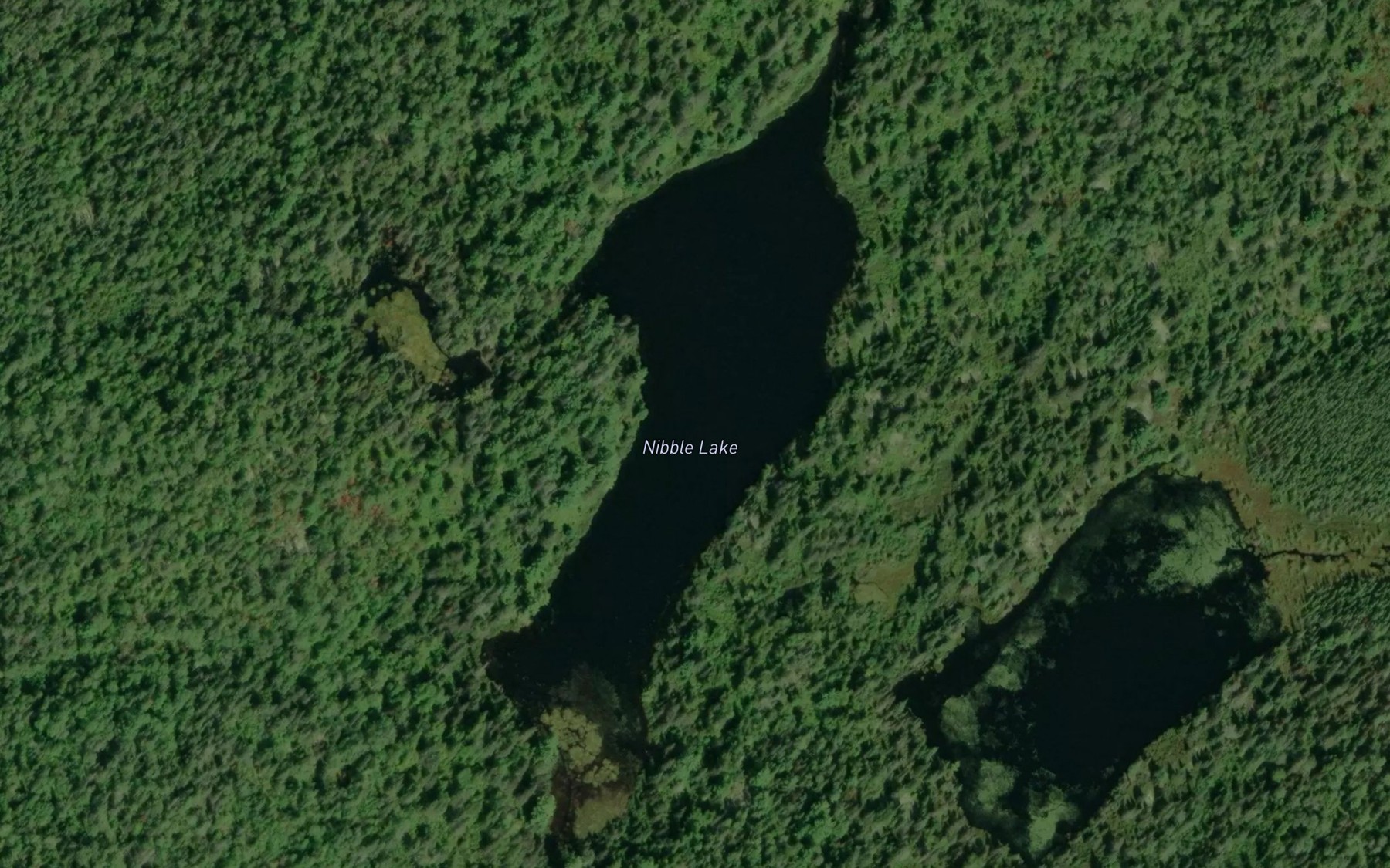 Satellite map of the Nibble Lake