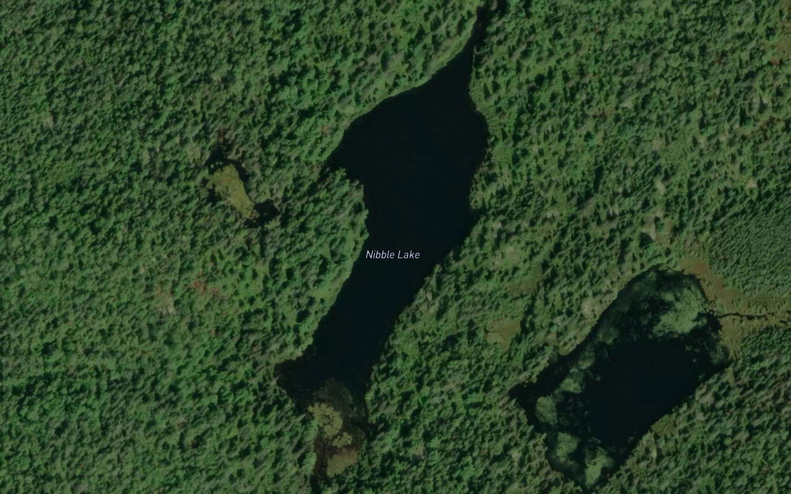 Nibble Lake