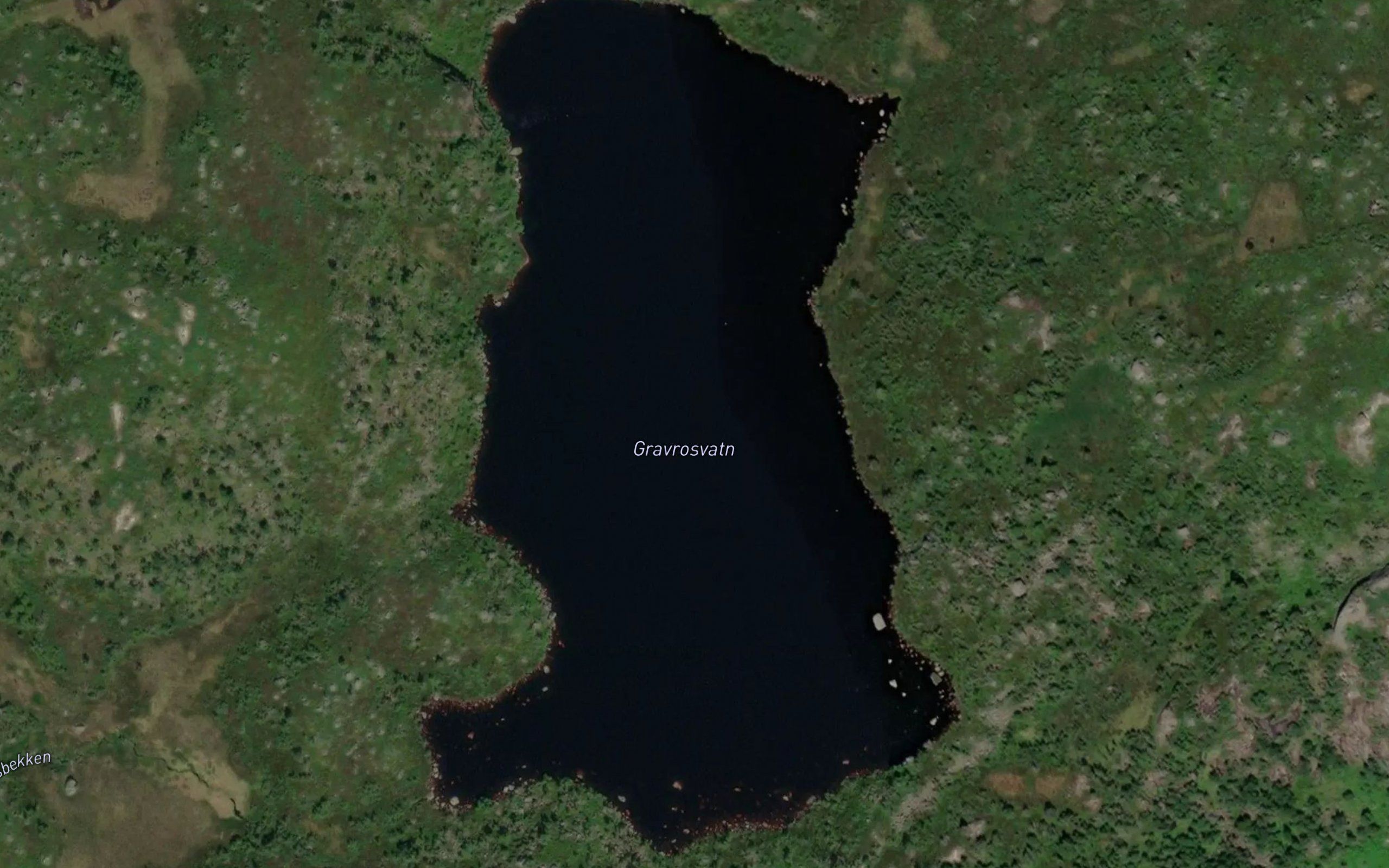 Gravrosvatnet