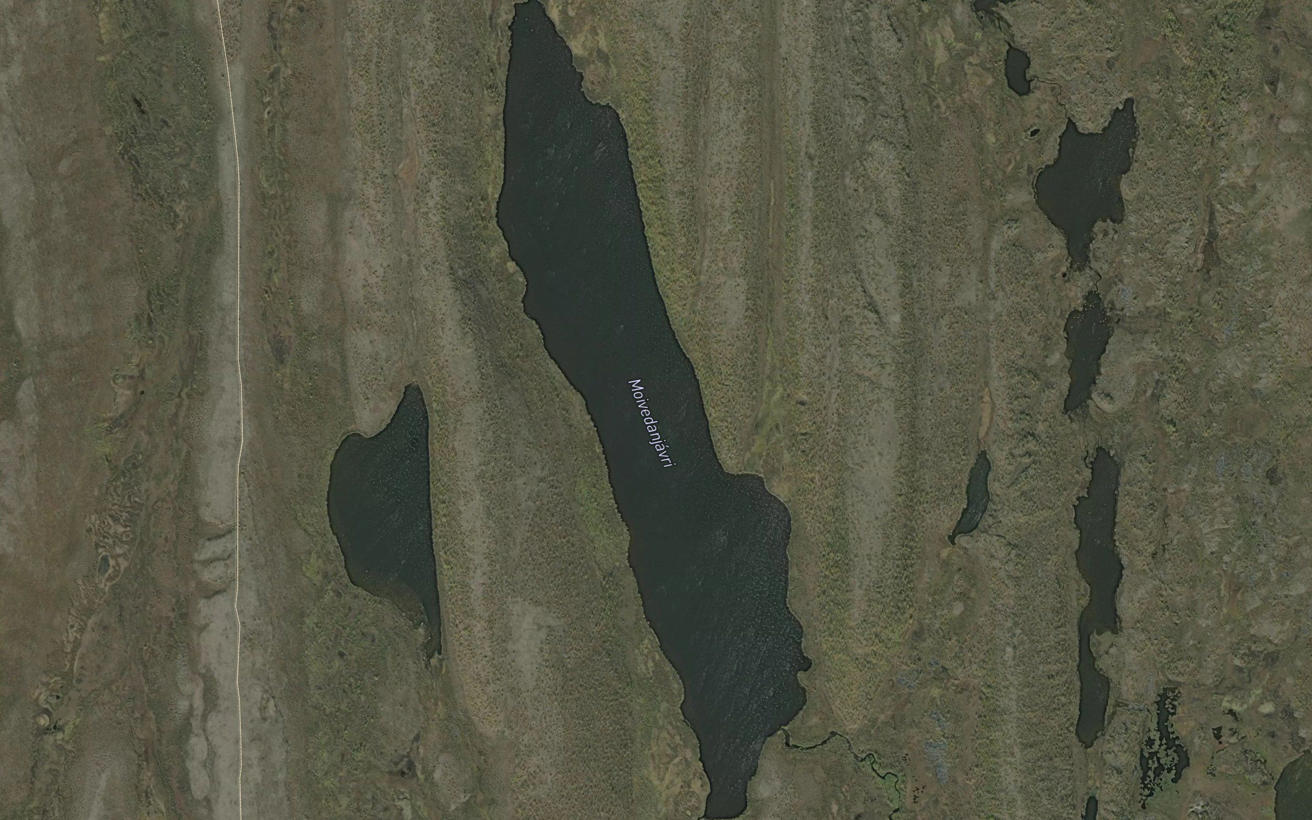 Maivedanjavri