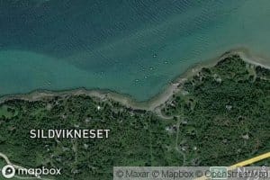 Sildvika,yt