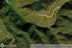 Cherry Orchard Branch