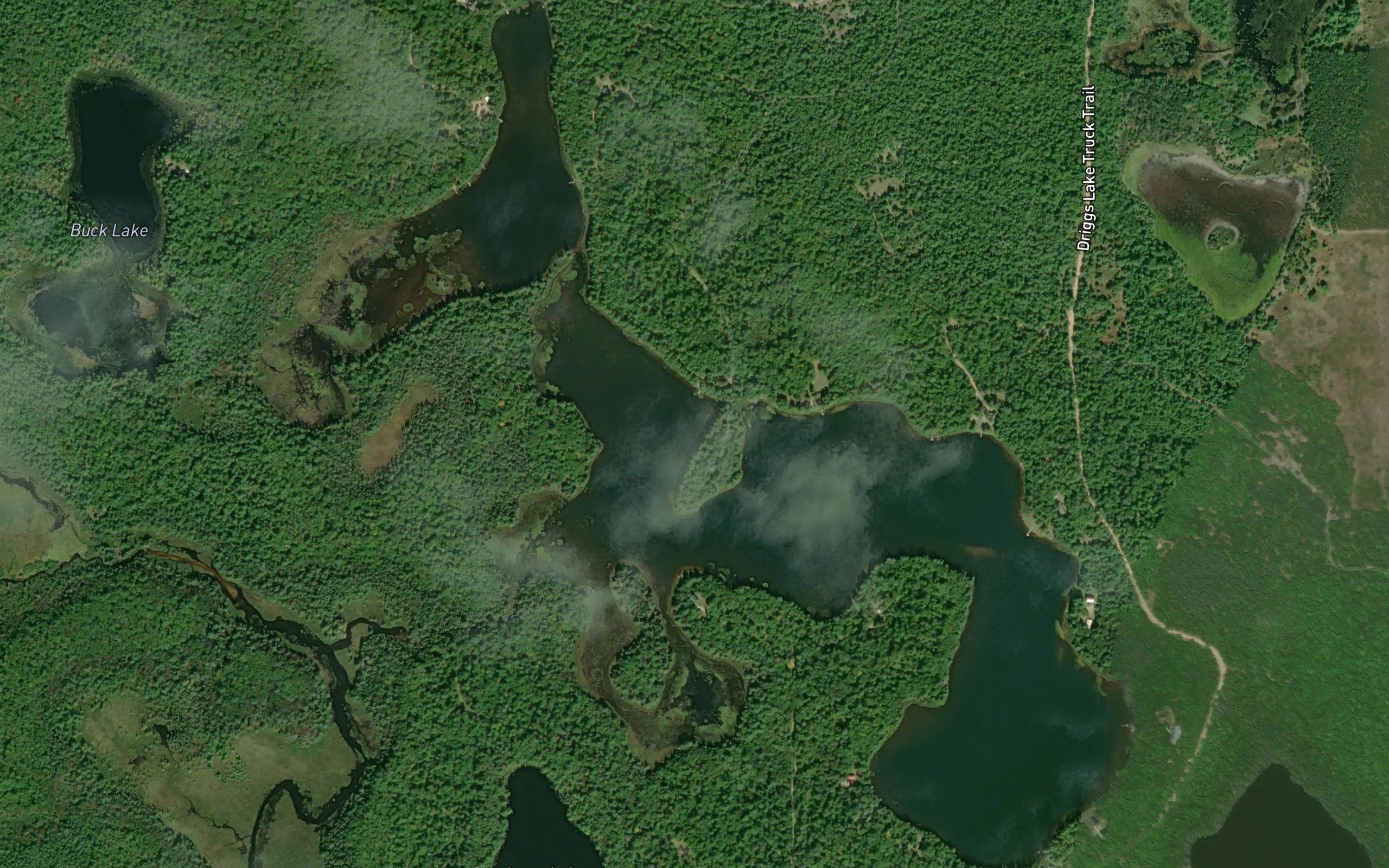 Driggs Lake