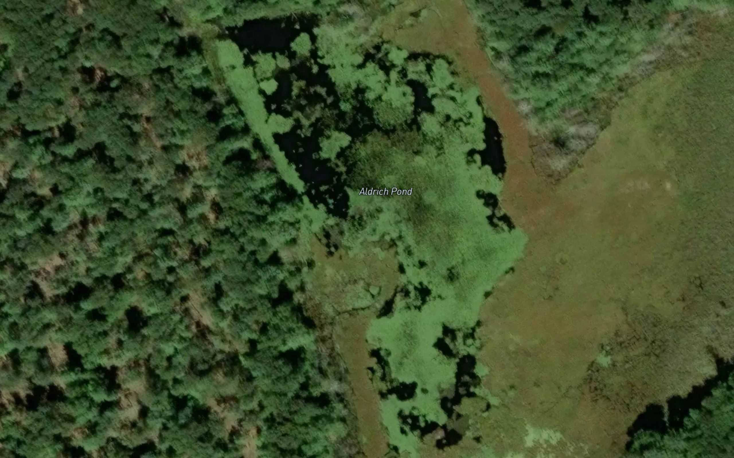 Aldrich Pond