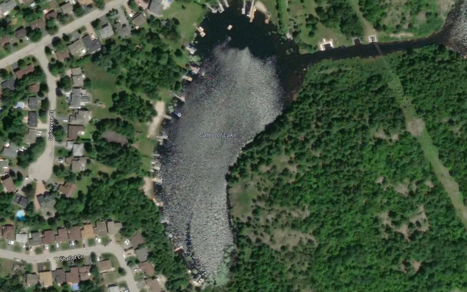 Satellite map of the Camelot Lake