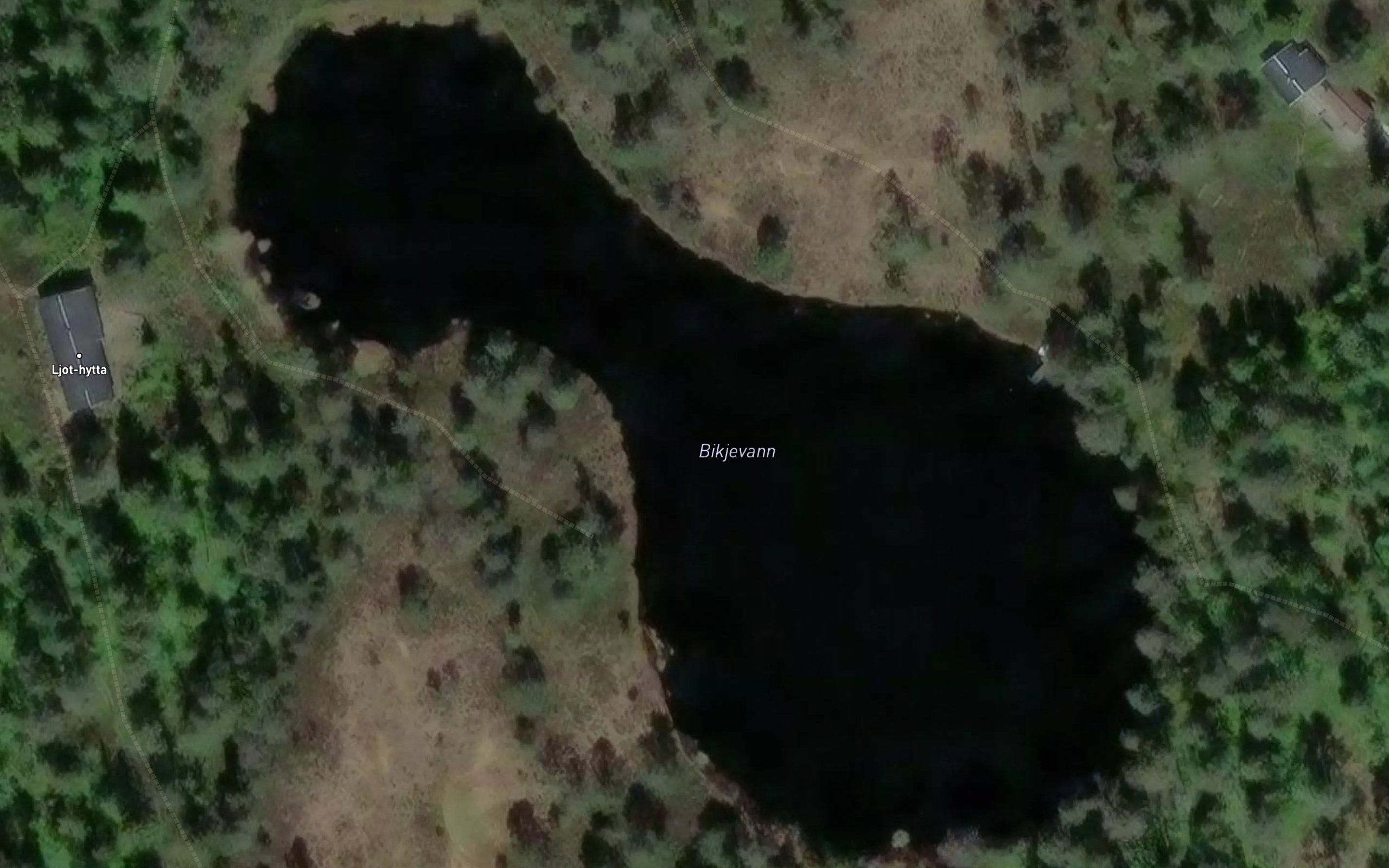Bikkjevatnet