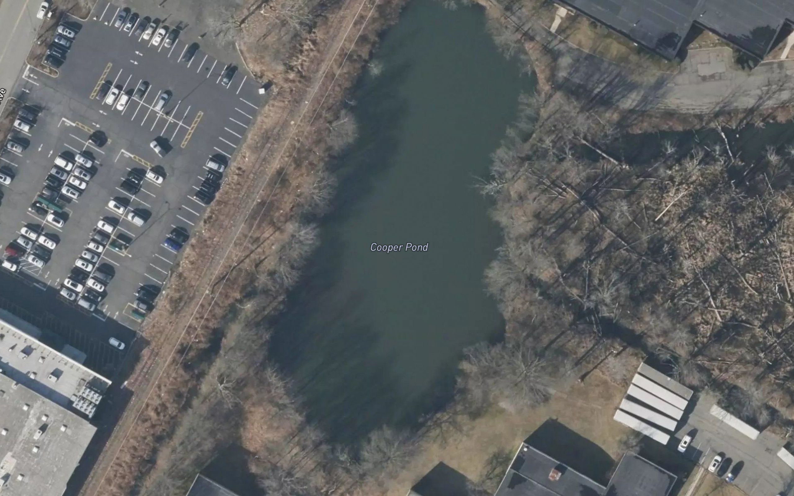 Cooper Pond