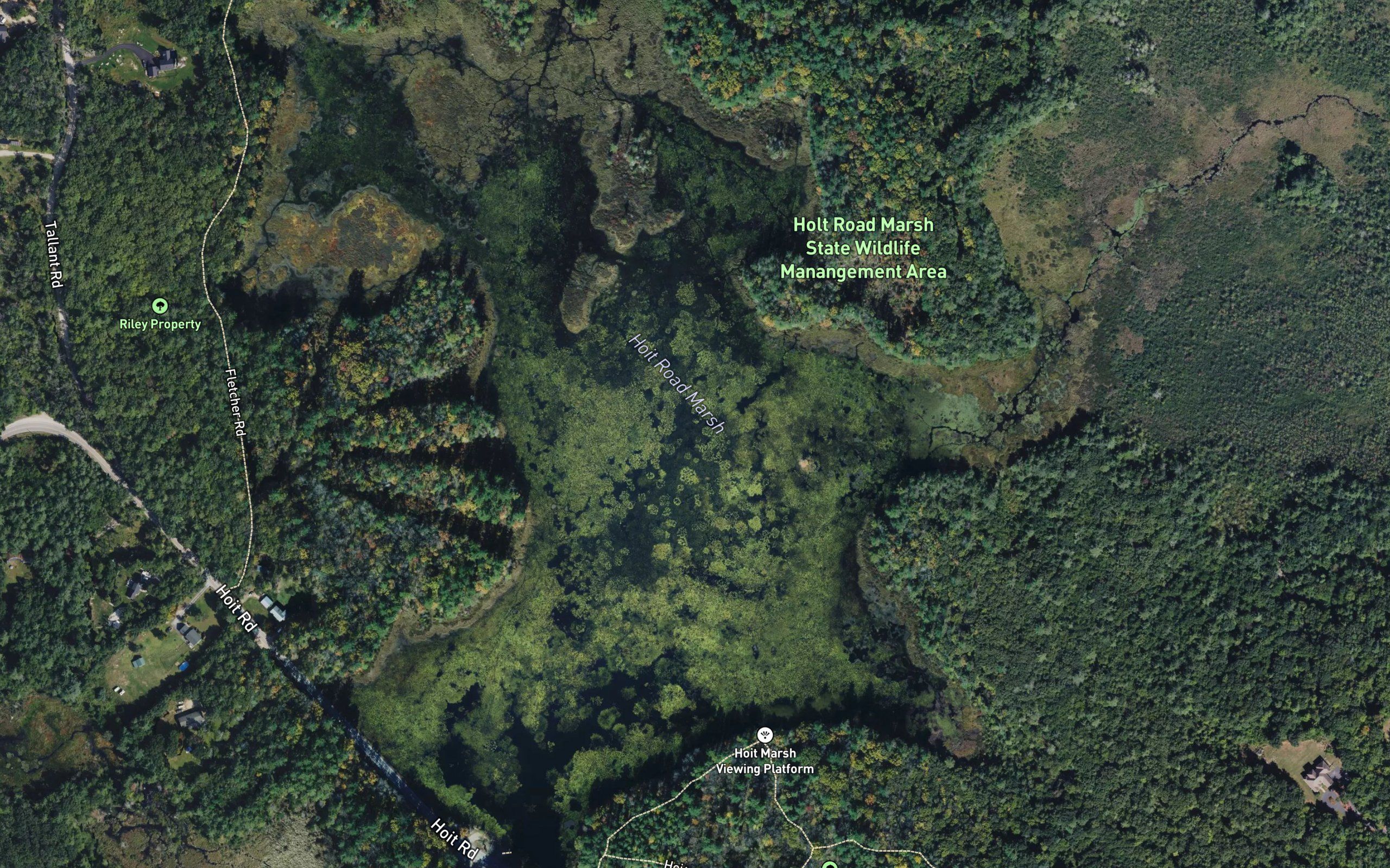 Hoit Road Marsh