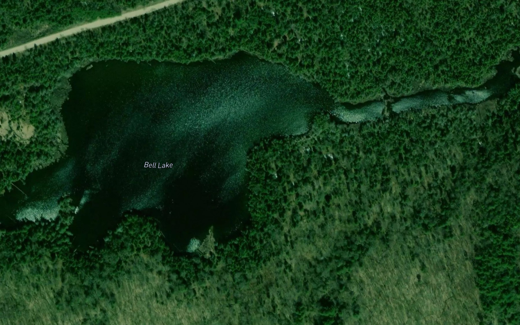 Satellite map of the Bell Lake