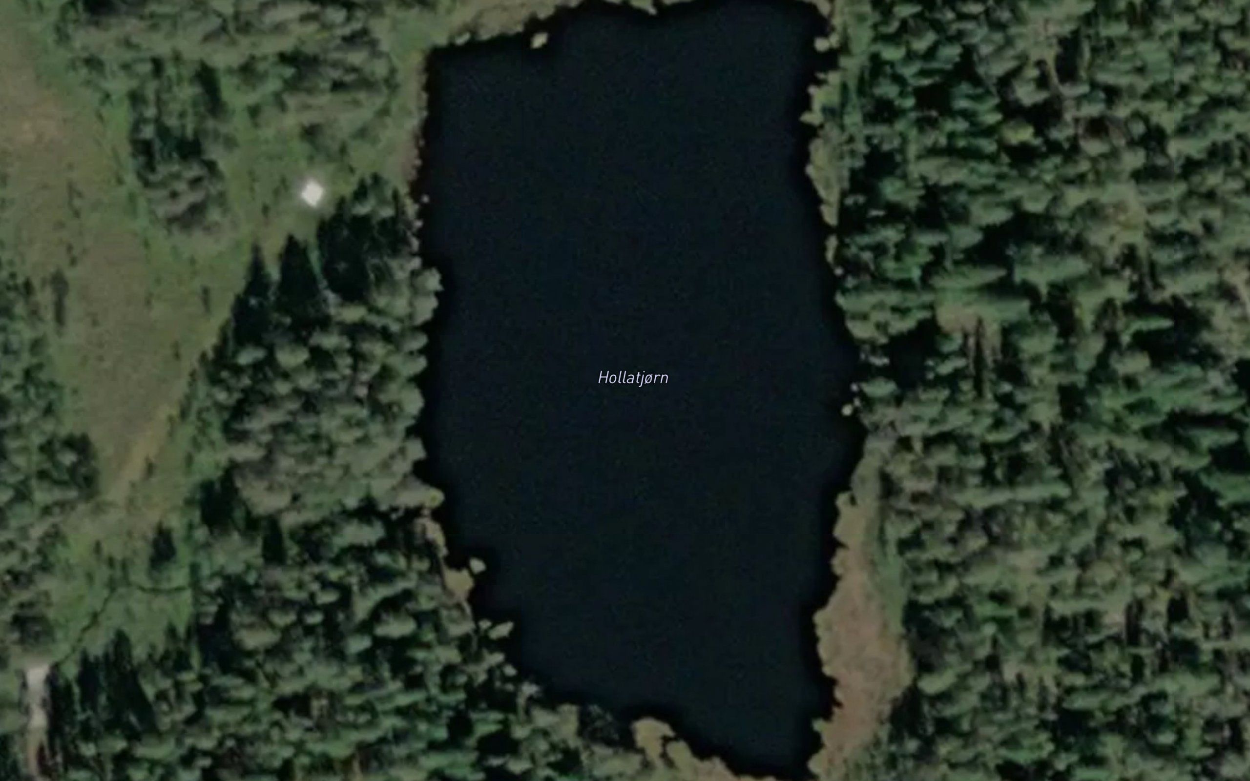 Hollatjonn