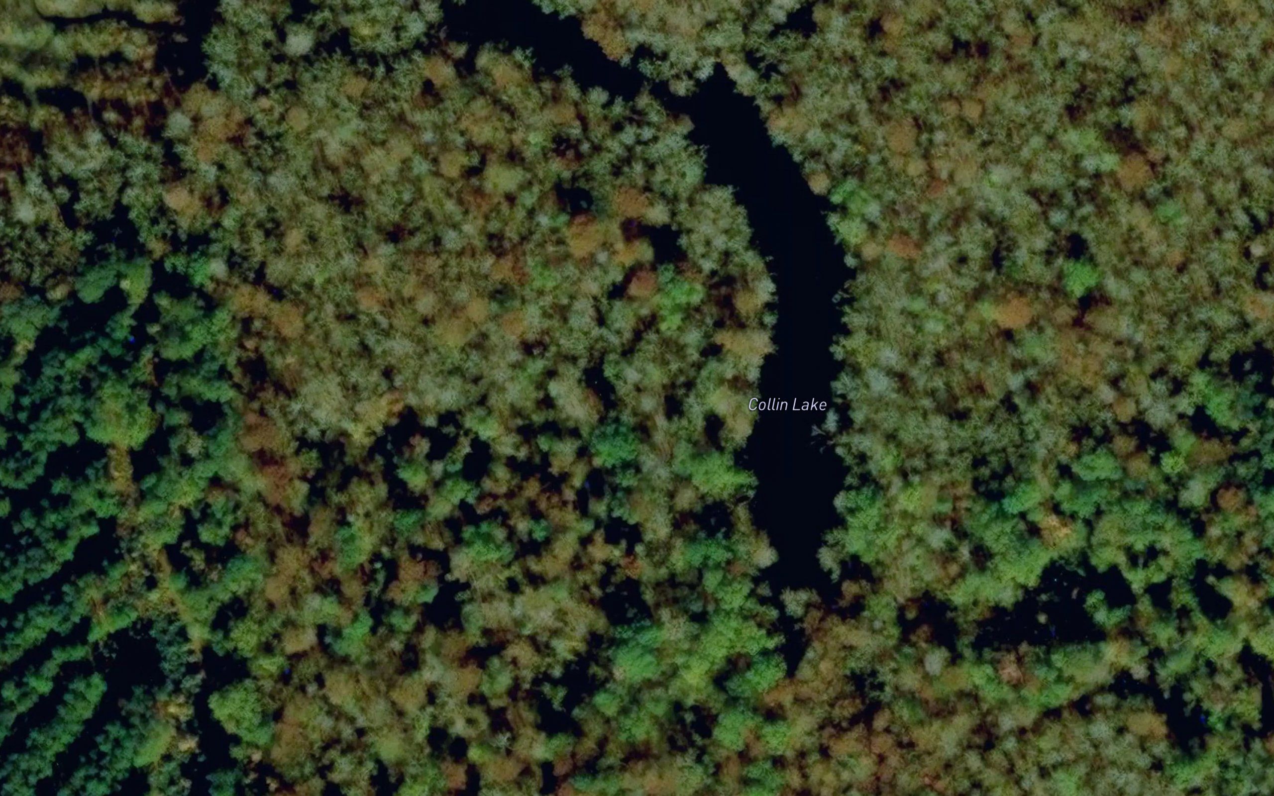 Collin Lake