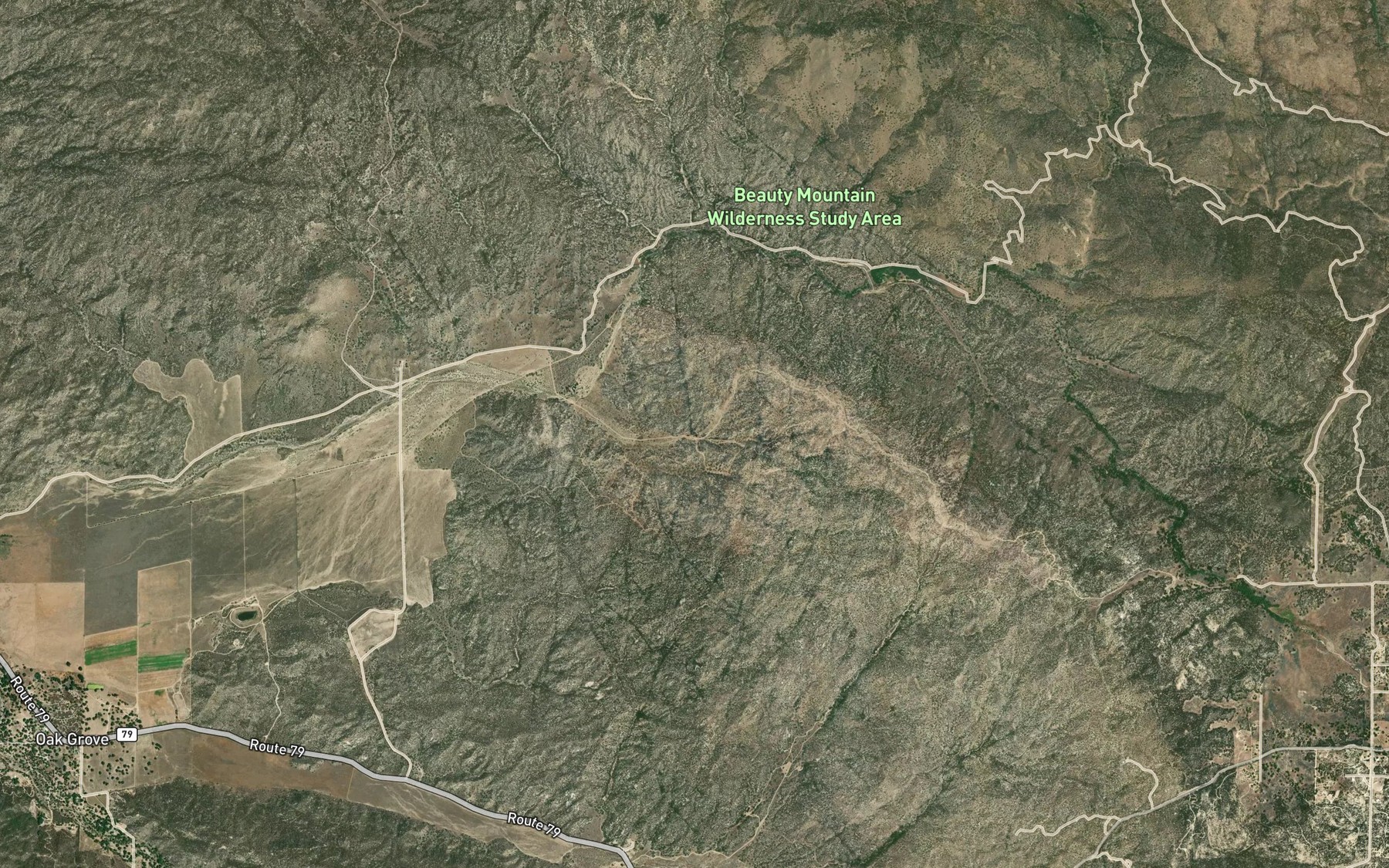 Satellite map of the Dick Spring