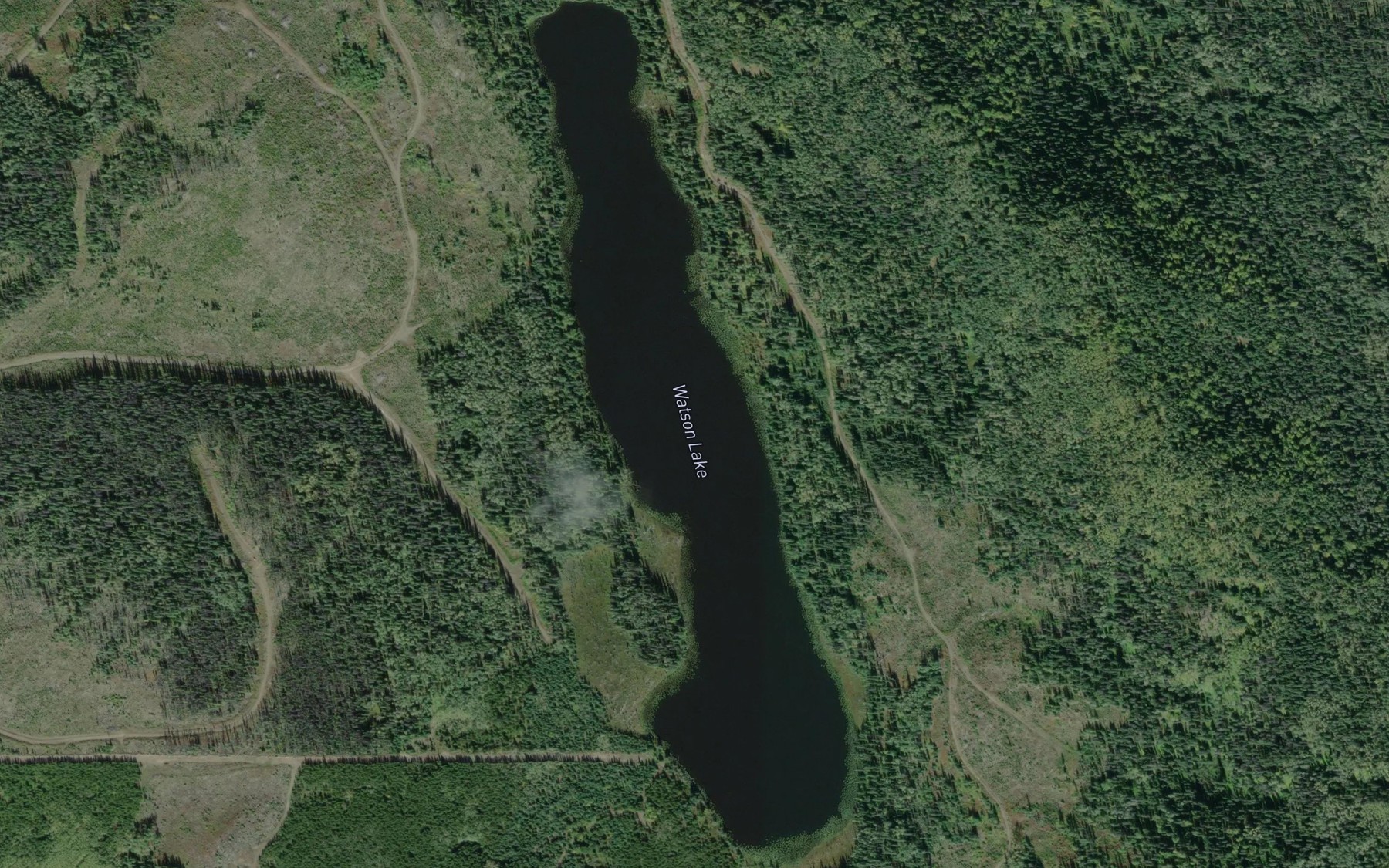 Satellite map of the Watson Lake
