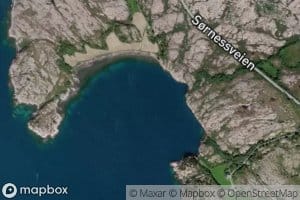 Orsnevvika