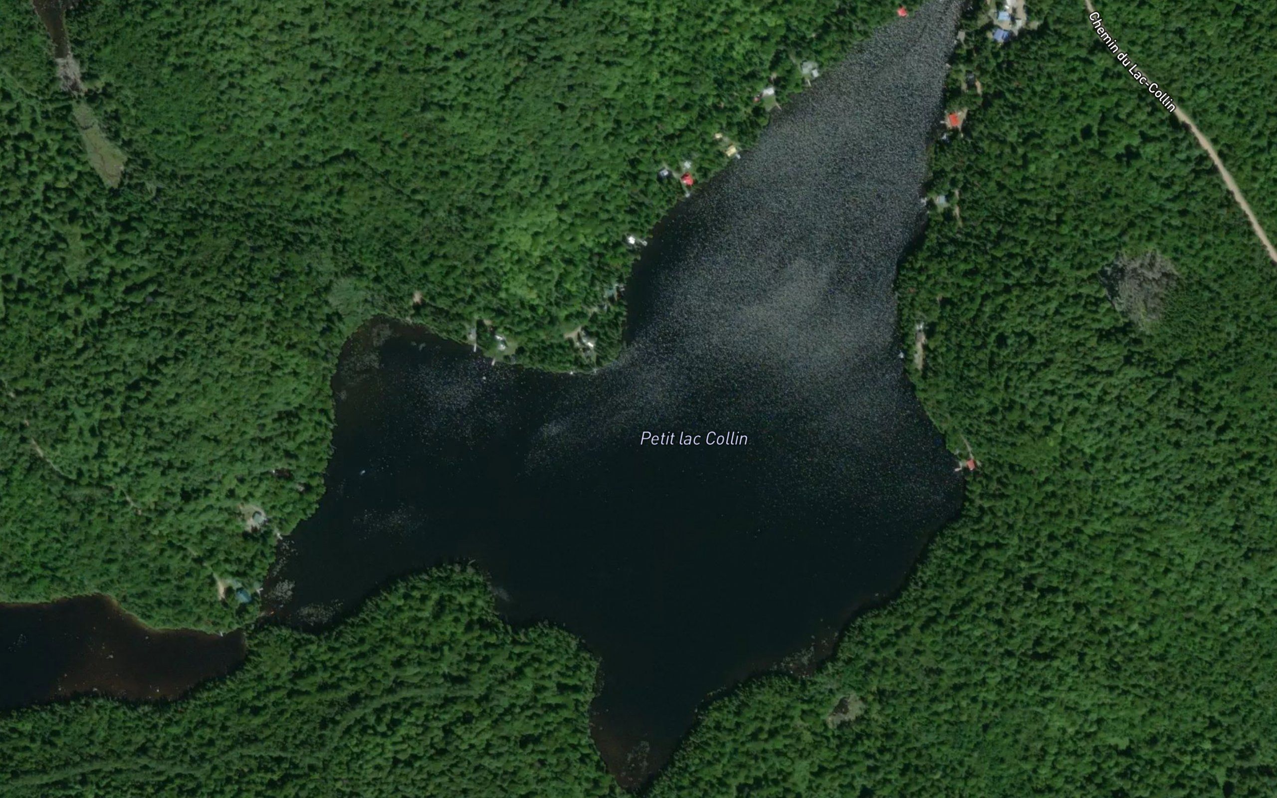 Petit lac Collin