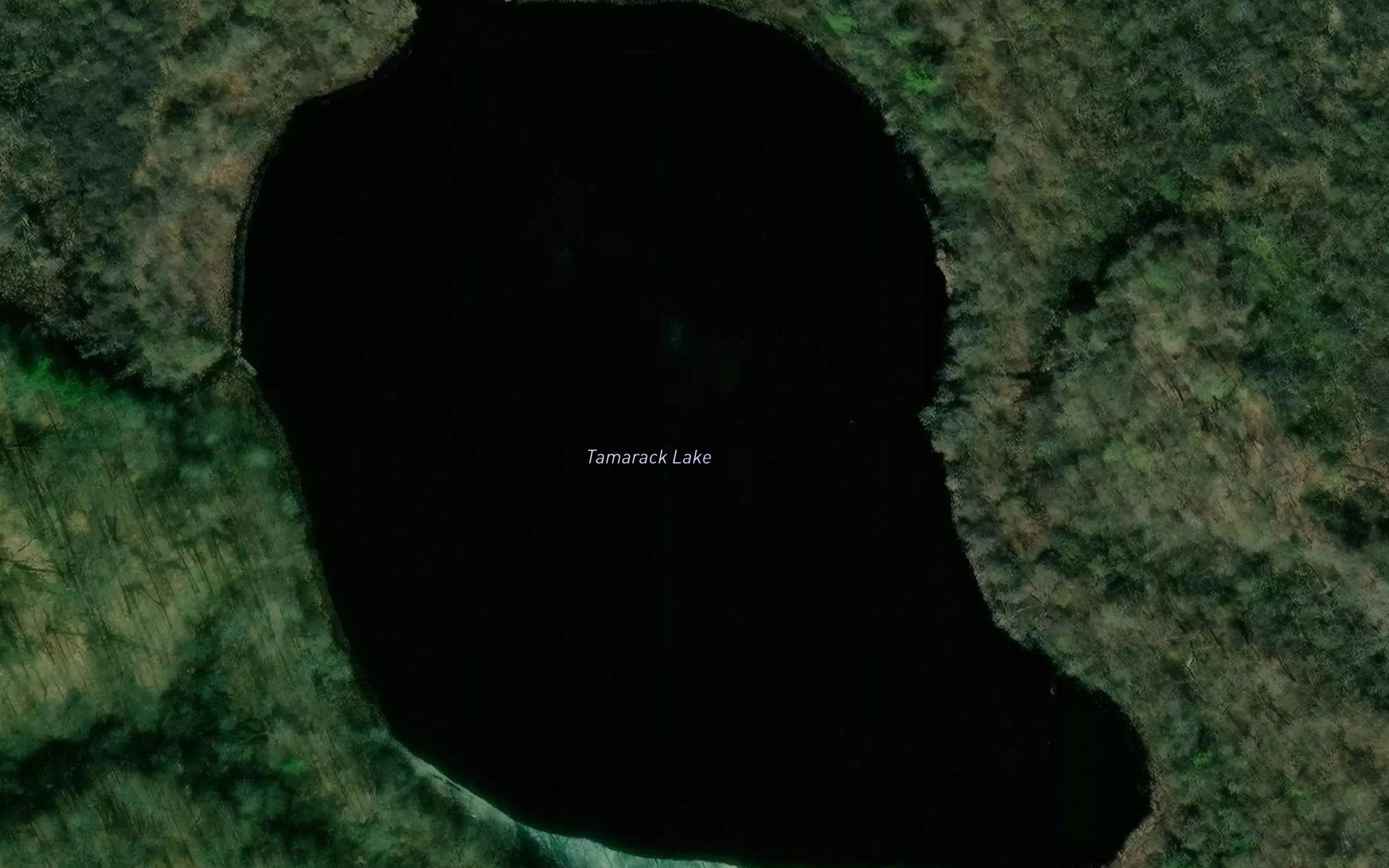 Tamarack Lake