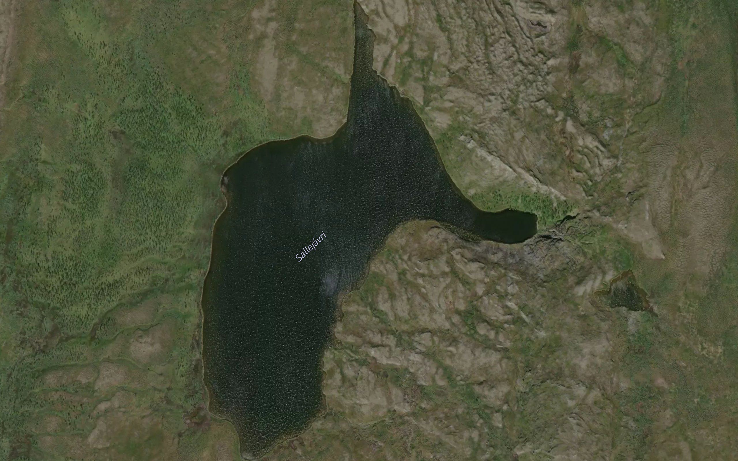 Sallejavri