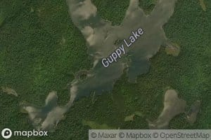 Guppy Lake