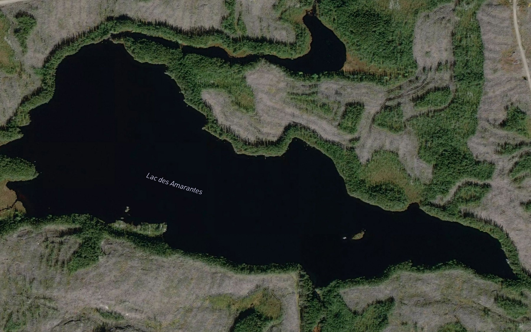Satellite map of the Lac des Amarantes