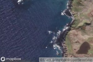 Cotton Cove