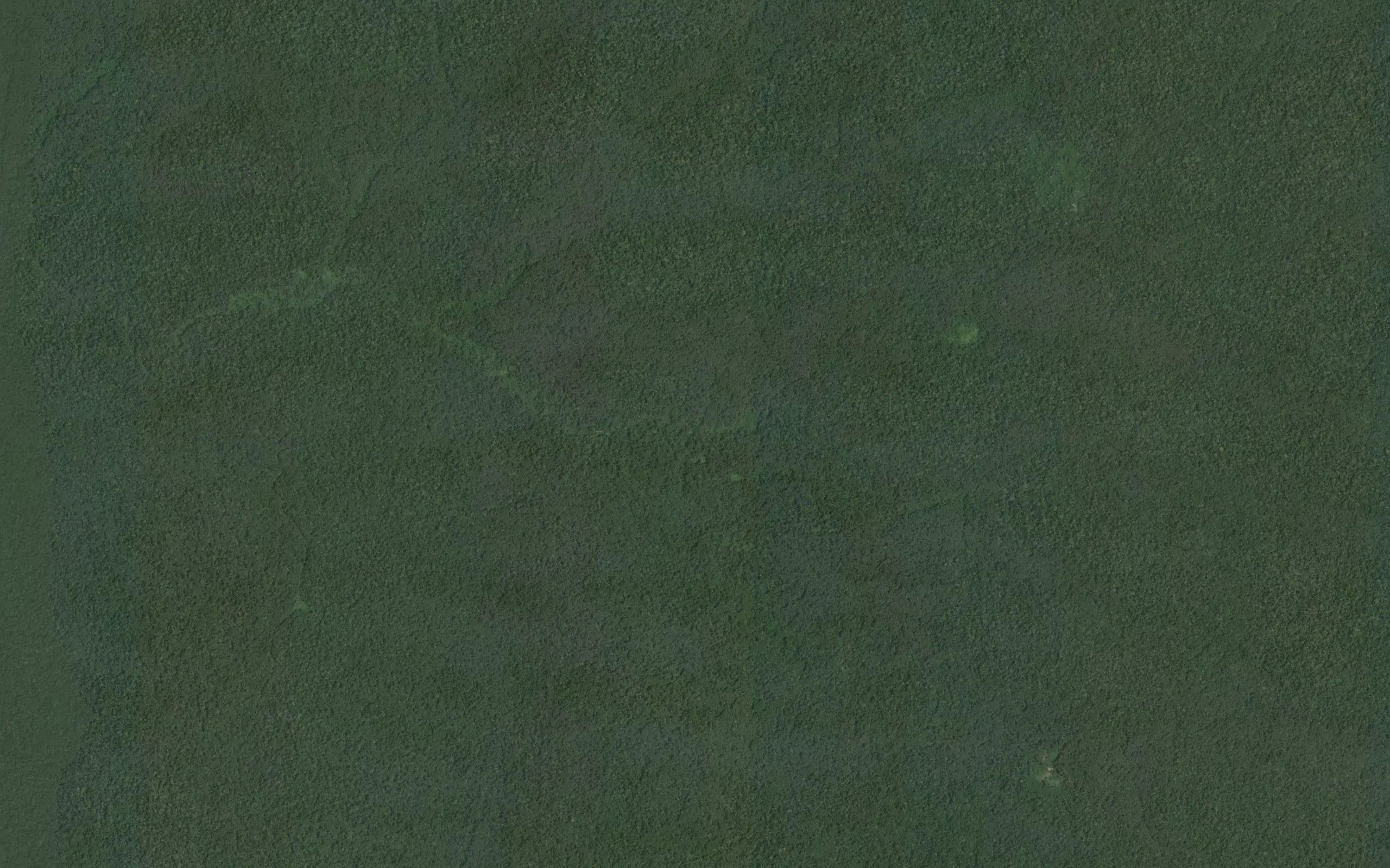 Negbula