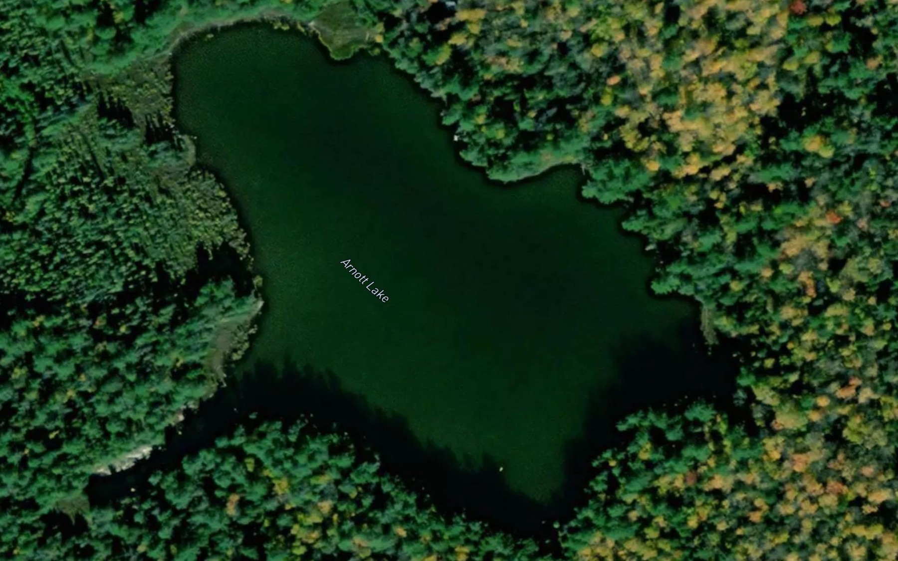 Satellite map of the Arnott Lake