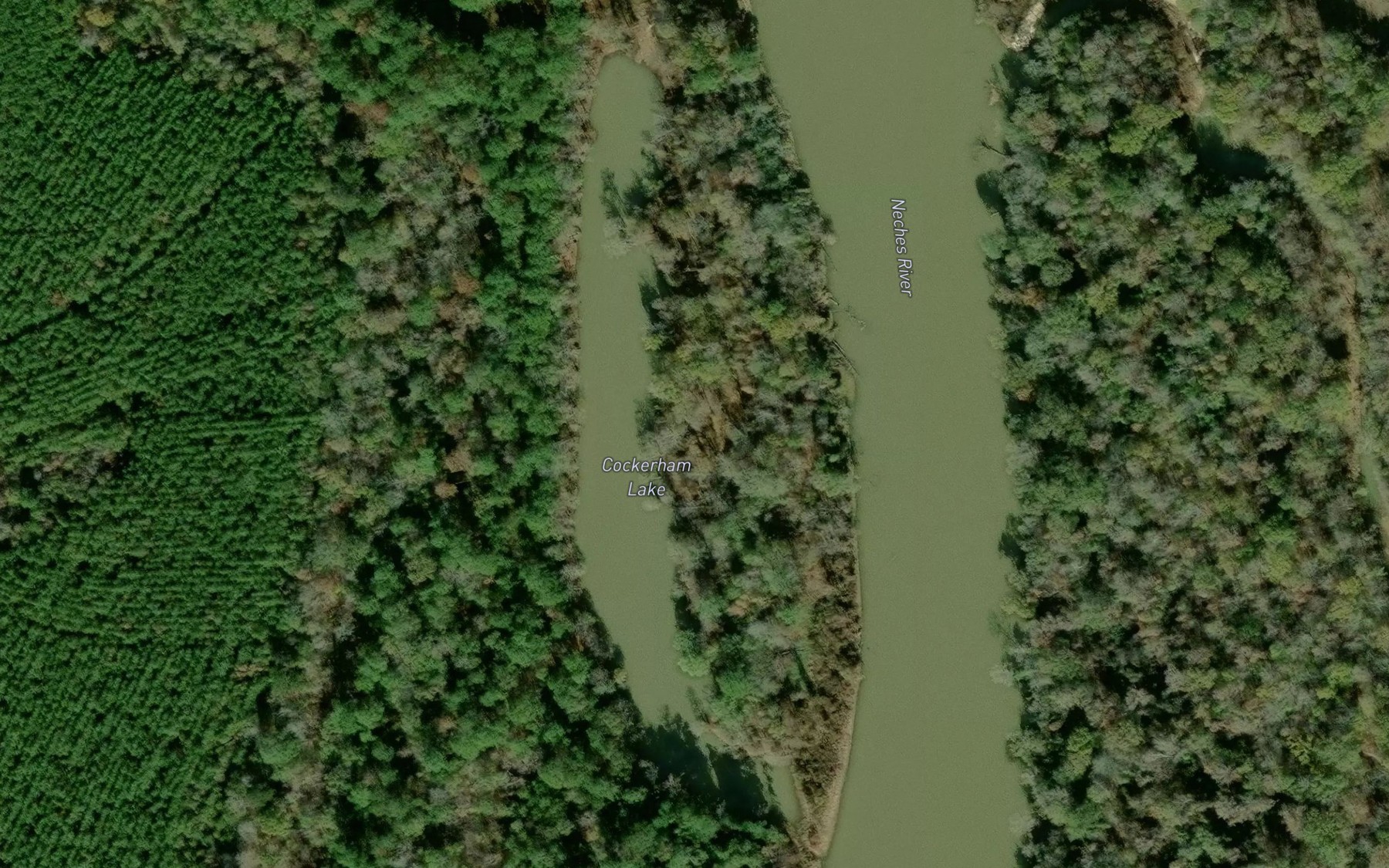 Satellite map of the Cockerham Lake