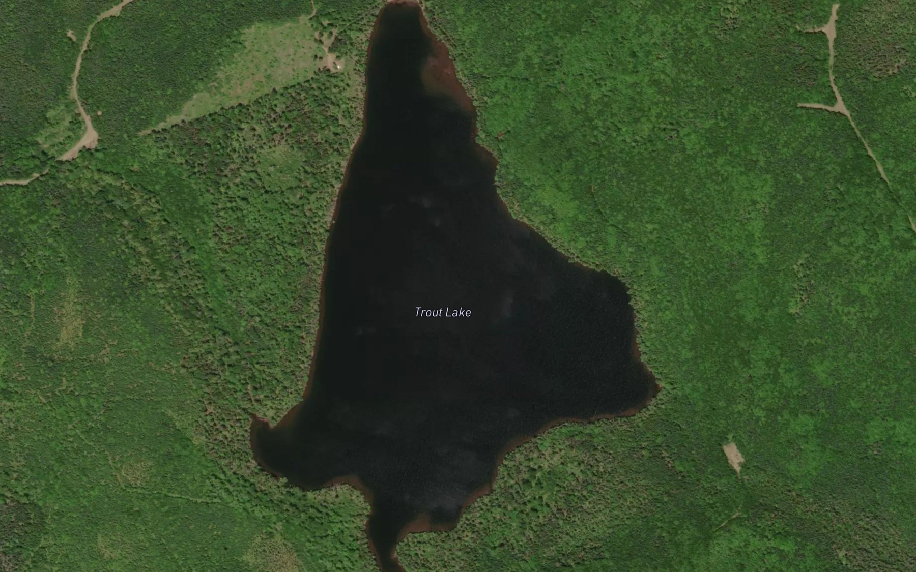 Satellite map of the Trout Lake