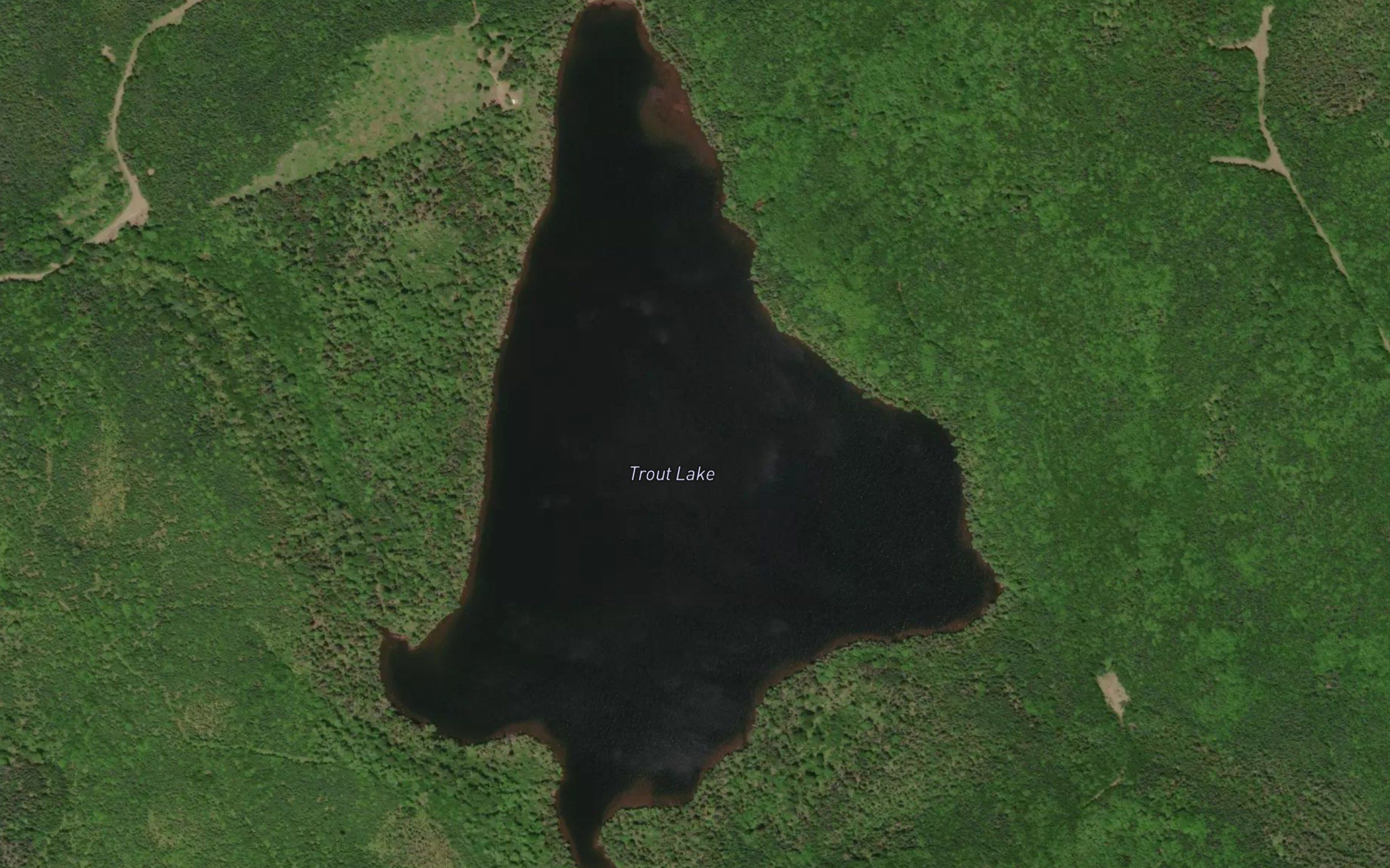 Trout Lake