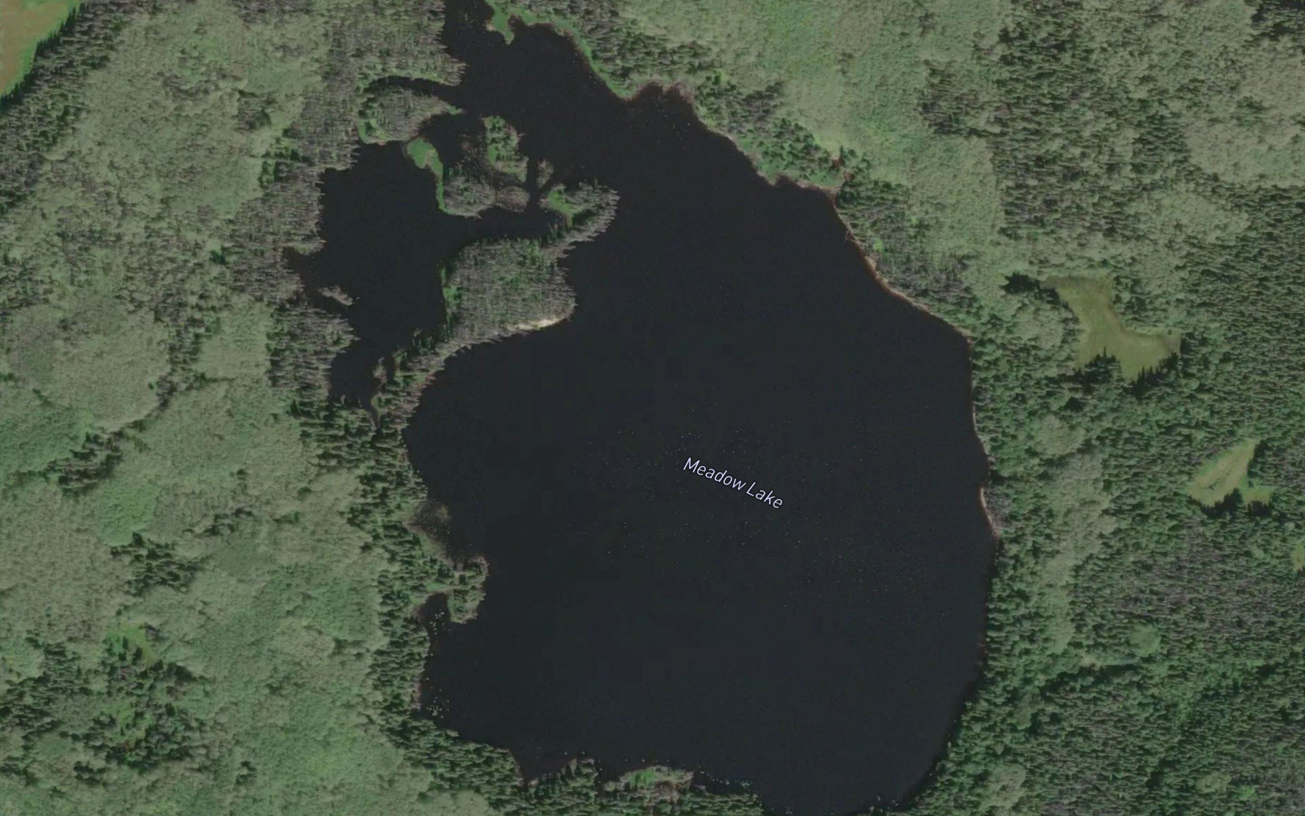 Meadow Lake