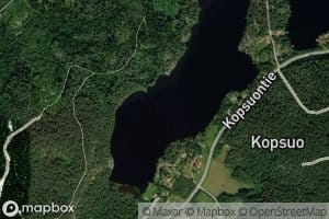 Kopsuonlahti