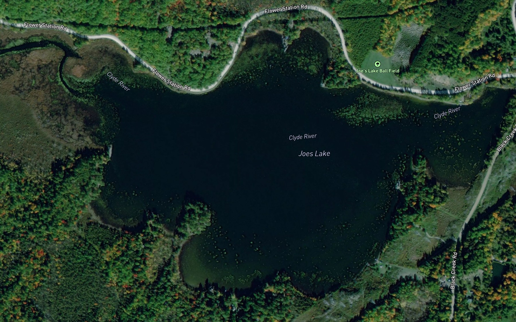 Satellite map of the Joes Lake