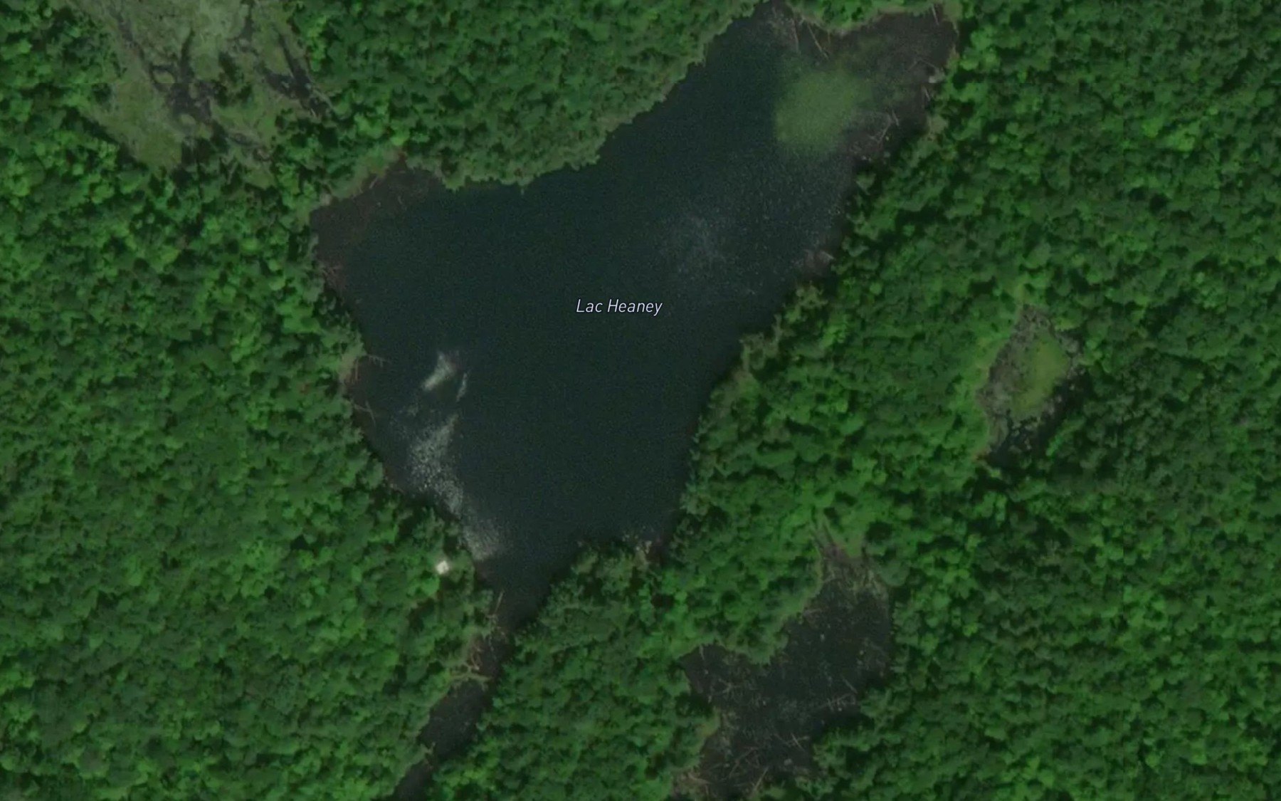 Satellite map of the Lac Heaney