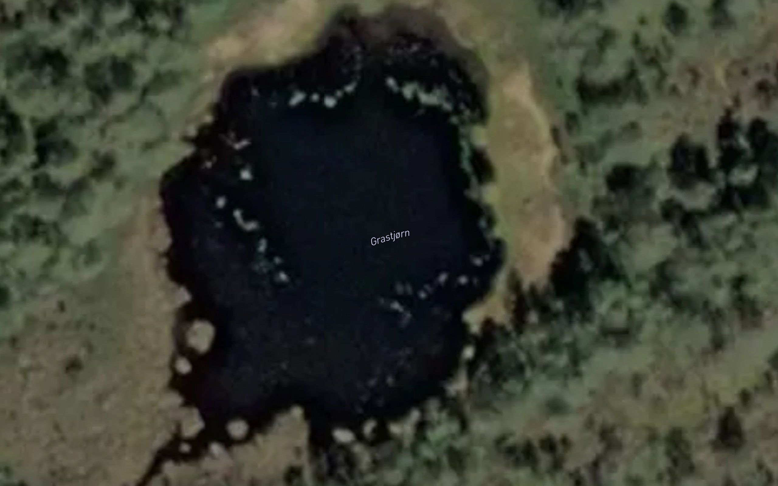 Grastjorn