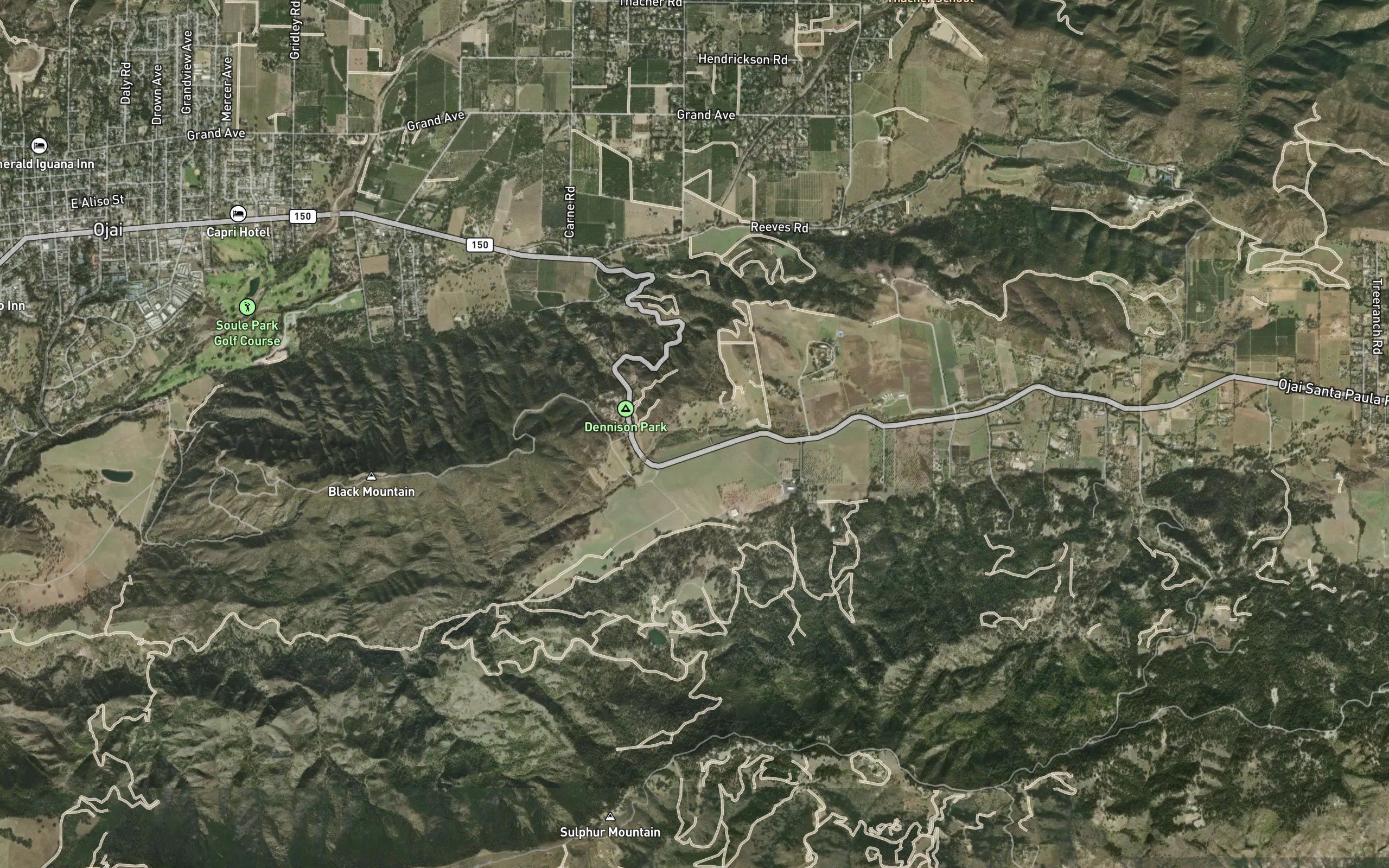 Lion Creek