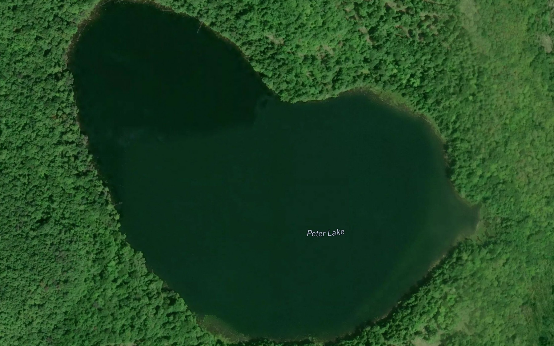 Satellite map of the Peter Lake