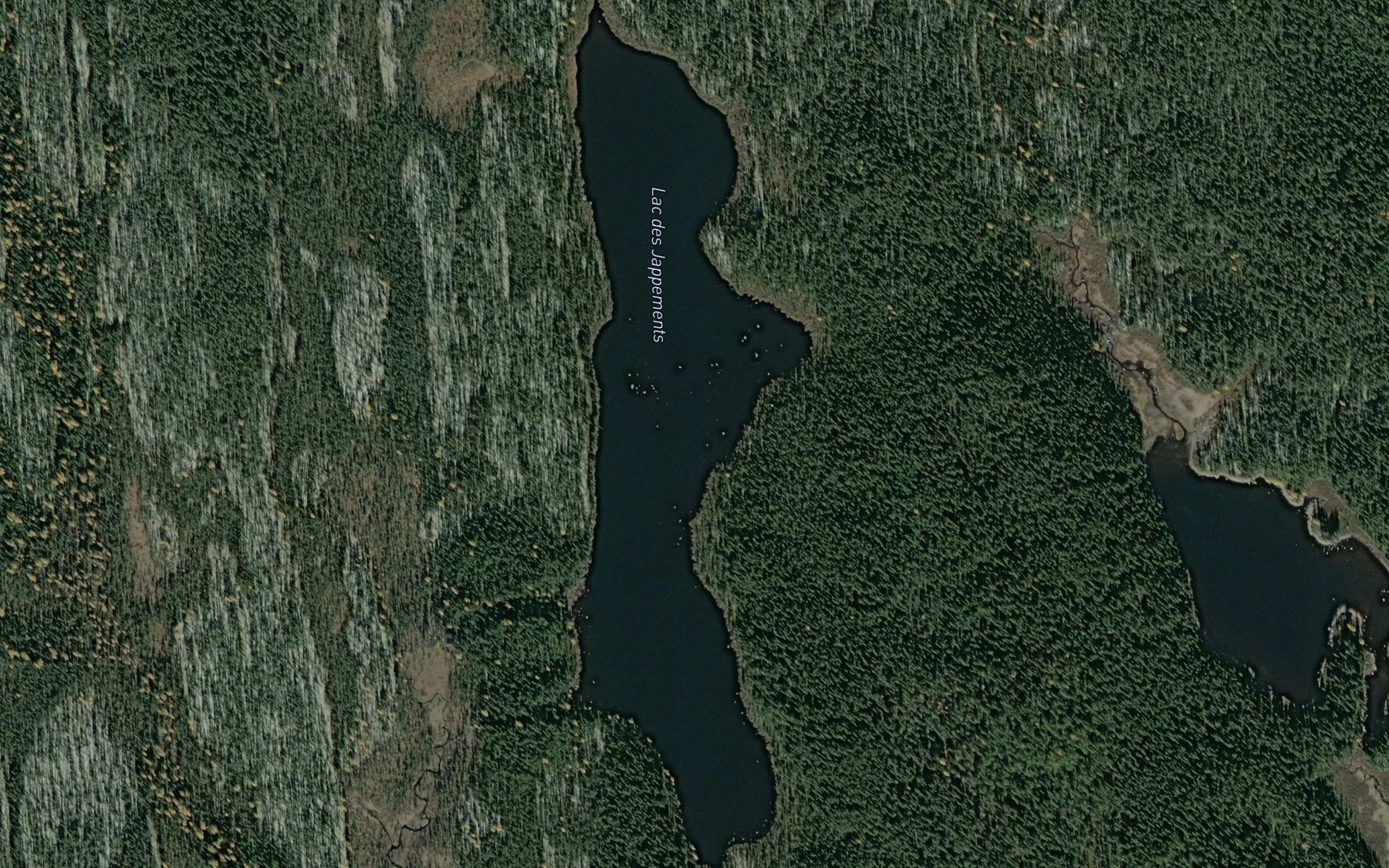 Satellite map of the Lac des Jappements